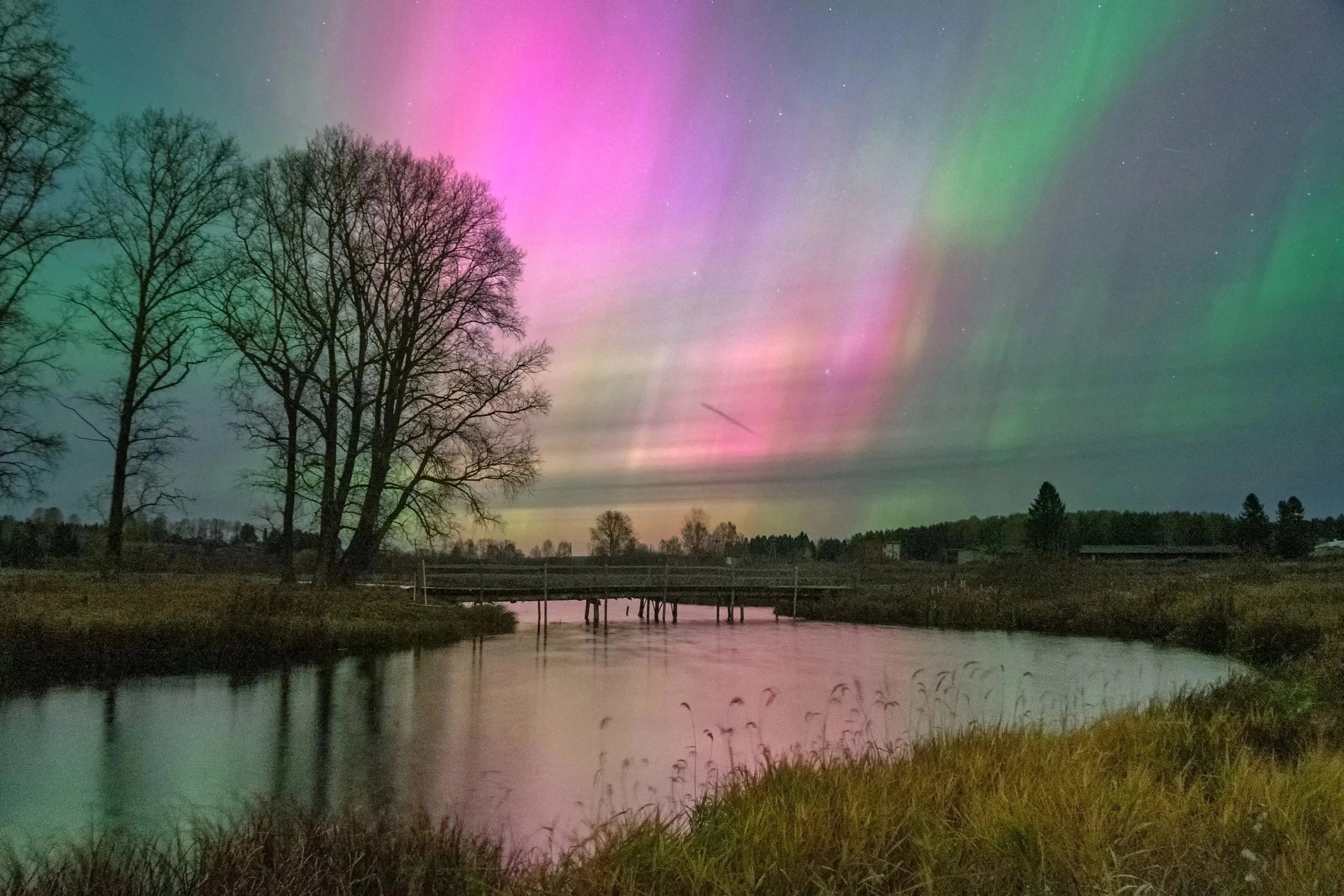 , Андрей Малыгин