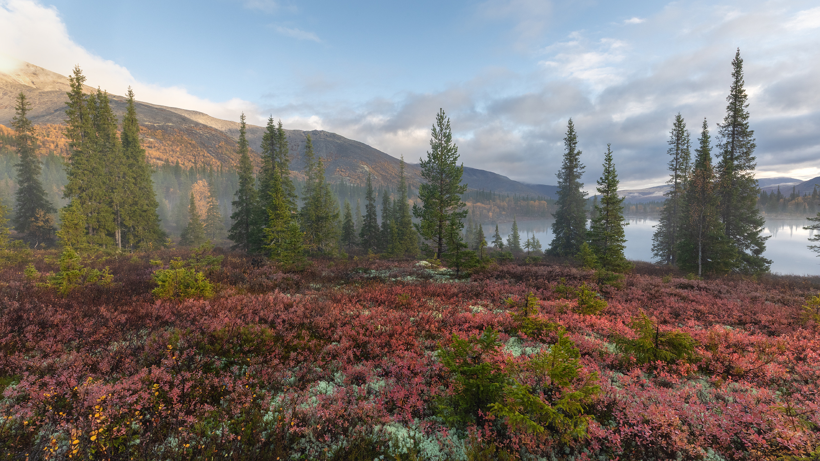 , Чернов Юрий