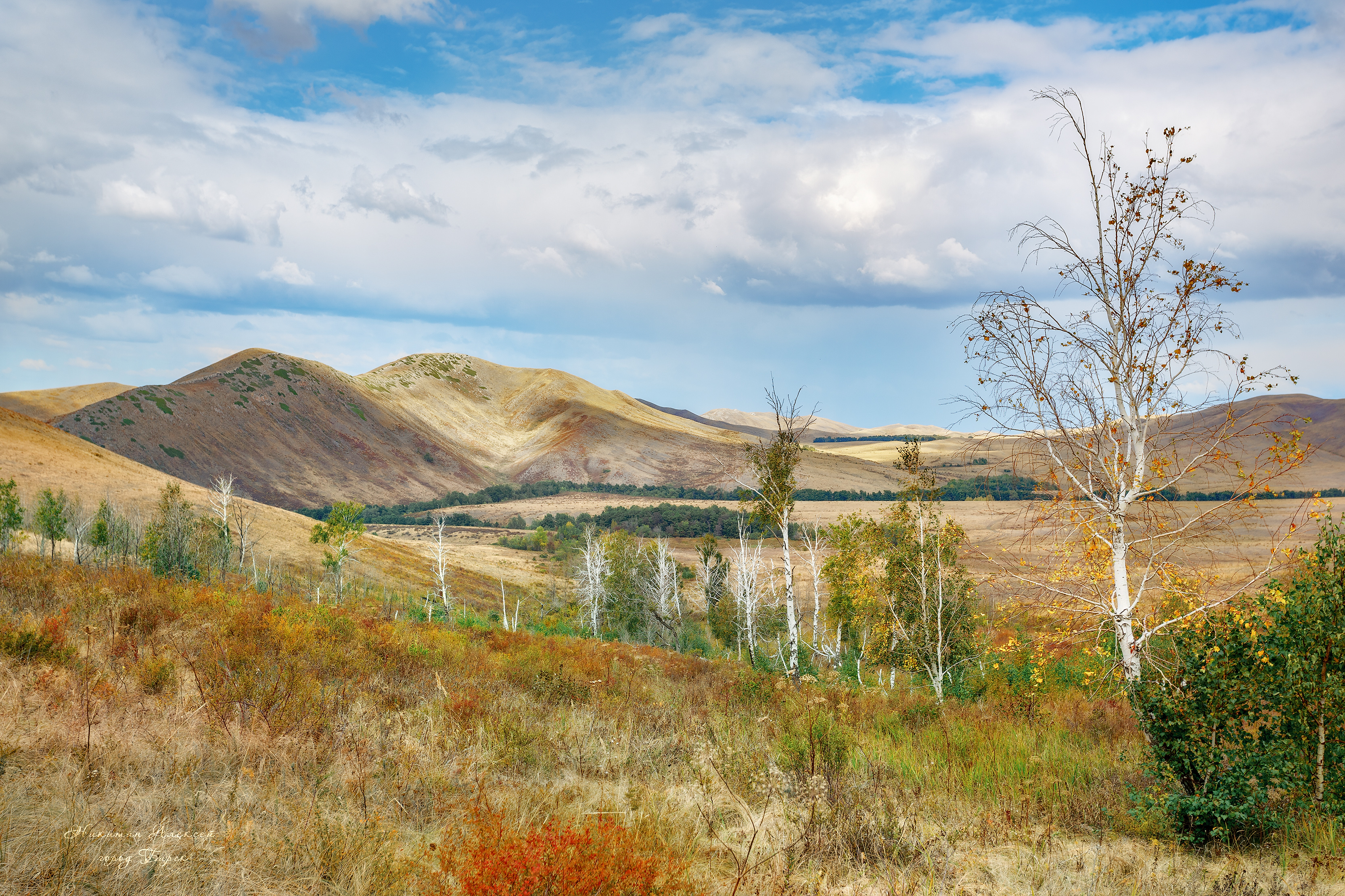 , Никитин Алексей