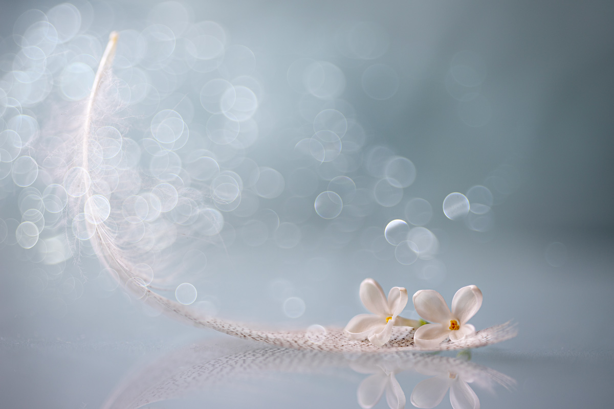 , Копцев Игорь