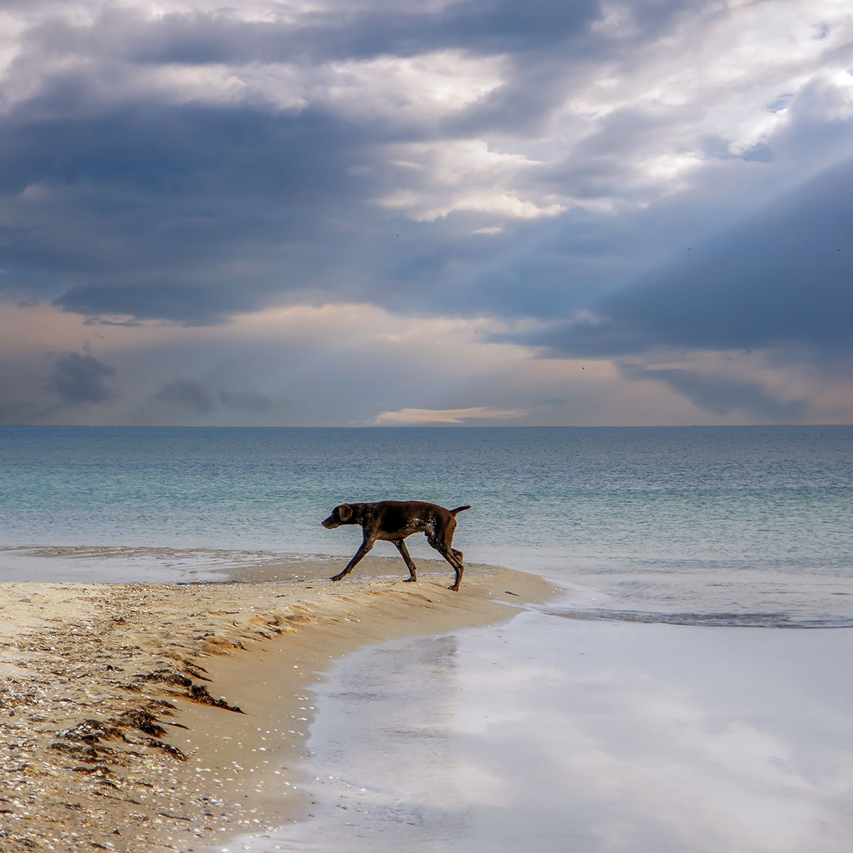 , Капустин Игорь