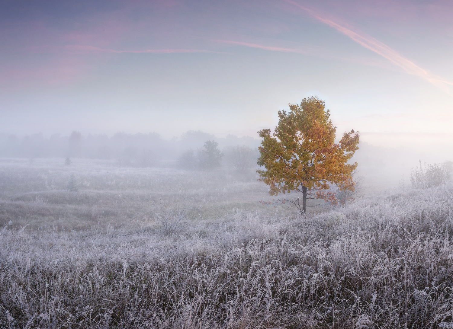 осень утро, Михаил Корнилов