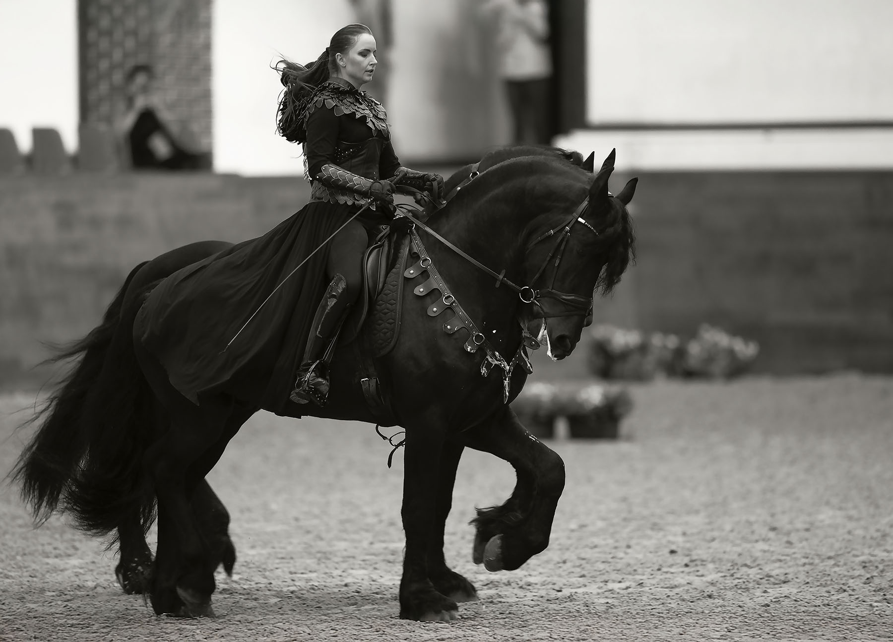 выступление, лошади, спорт, ,horsewomen, horses, beautiful, performance, Юлия Стукалова