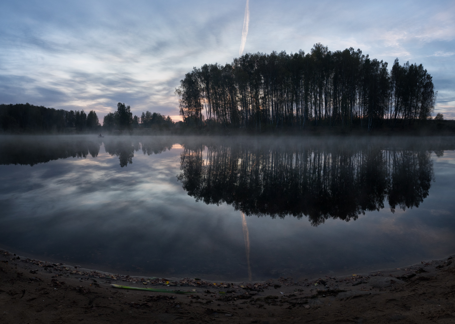 лес, свет, утро, природа, Баранов Олег