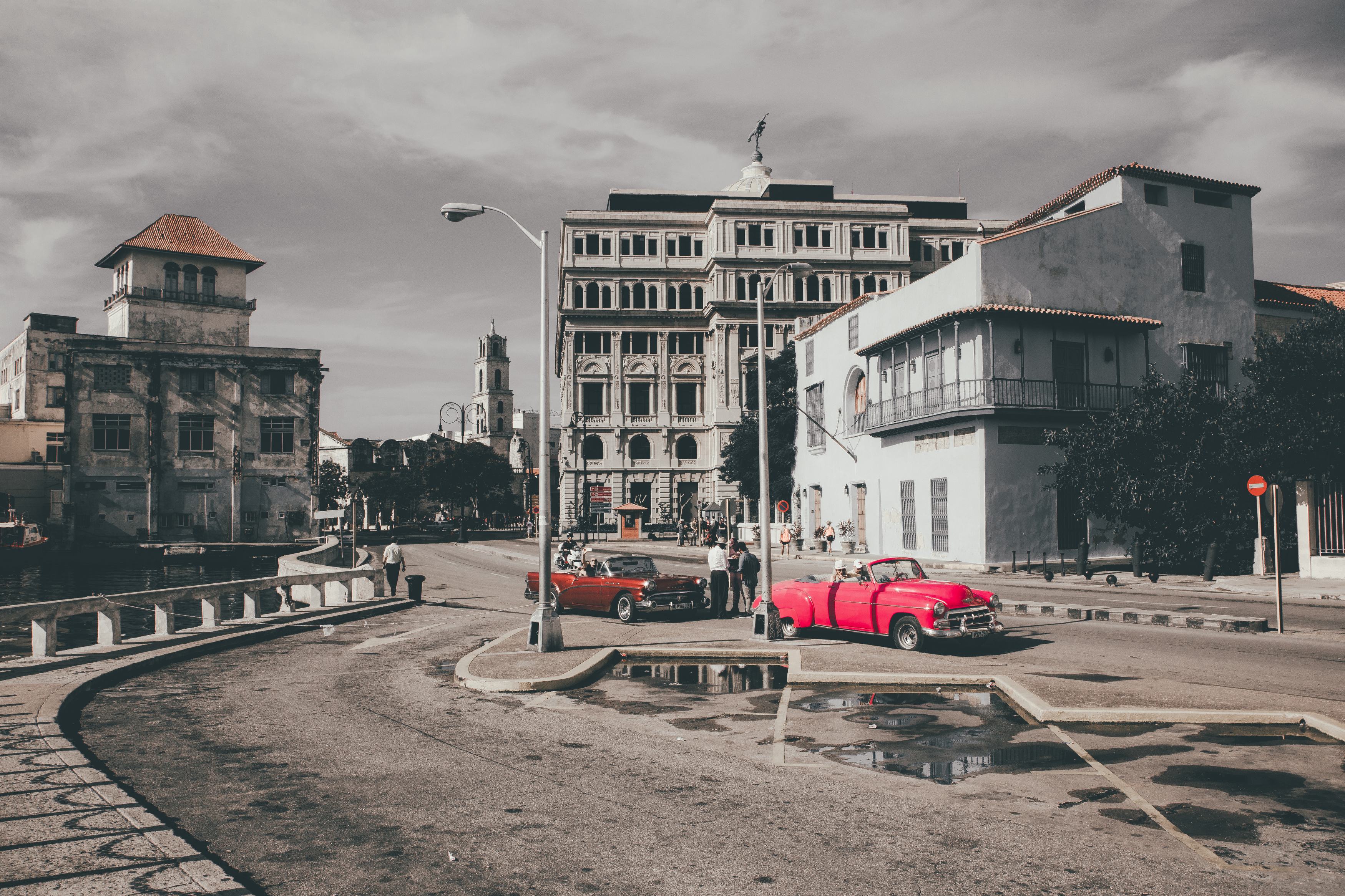 , Трепольский Дмитрий