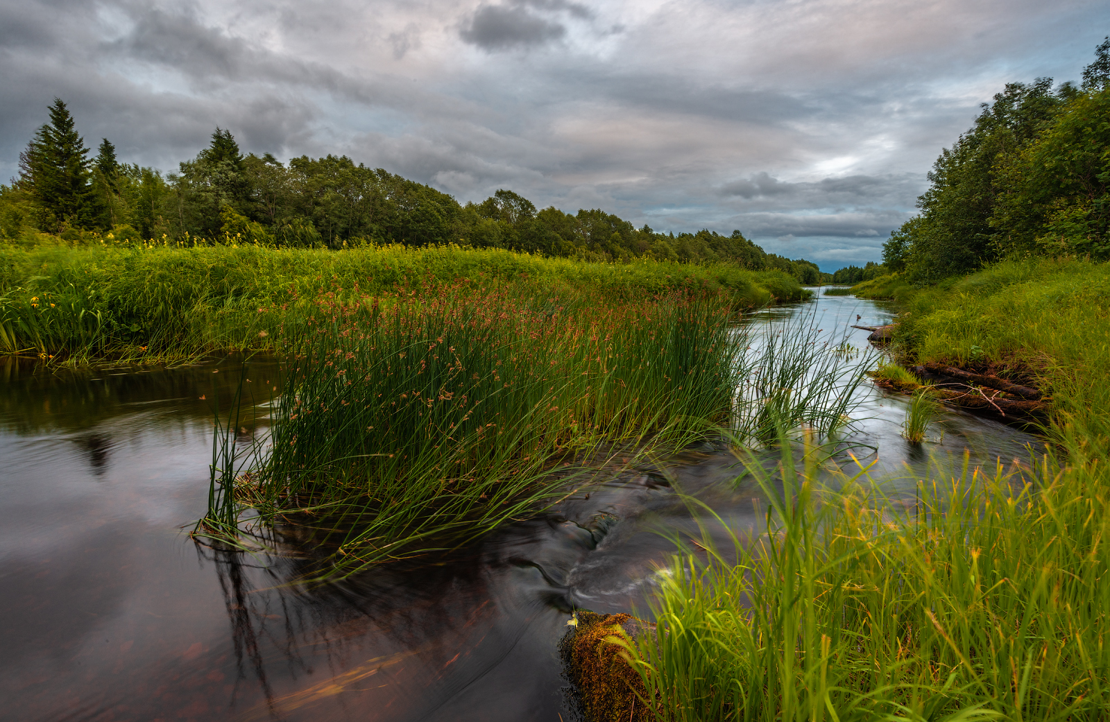 великий двор,вологодчина,кема,север, Роман Горячий