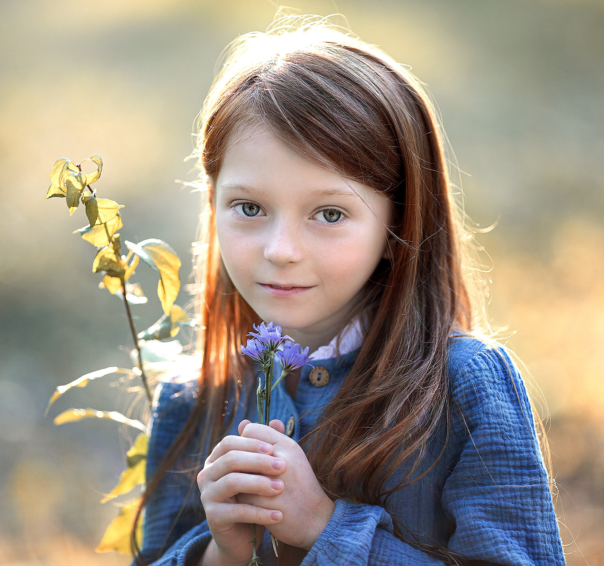 , Солнечный Александр