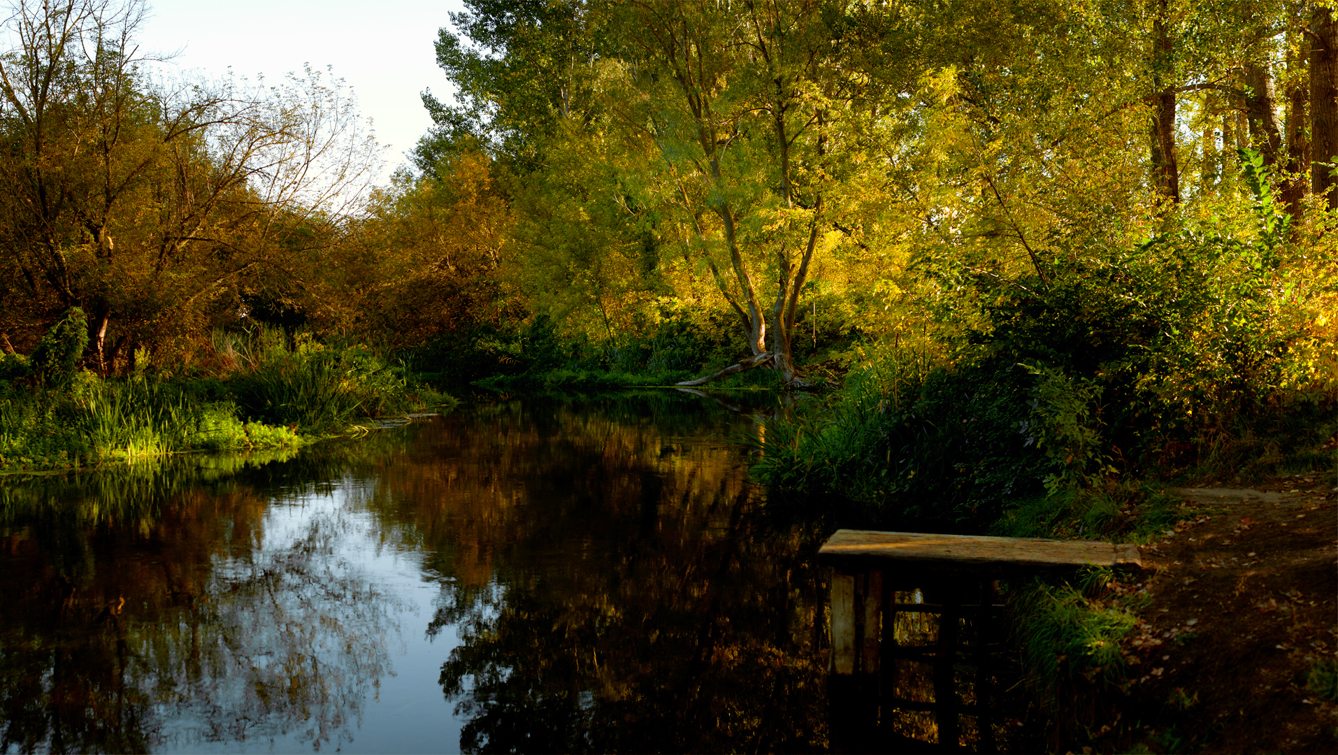 , Рукин Иван