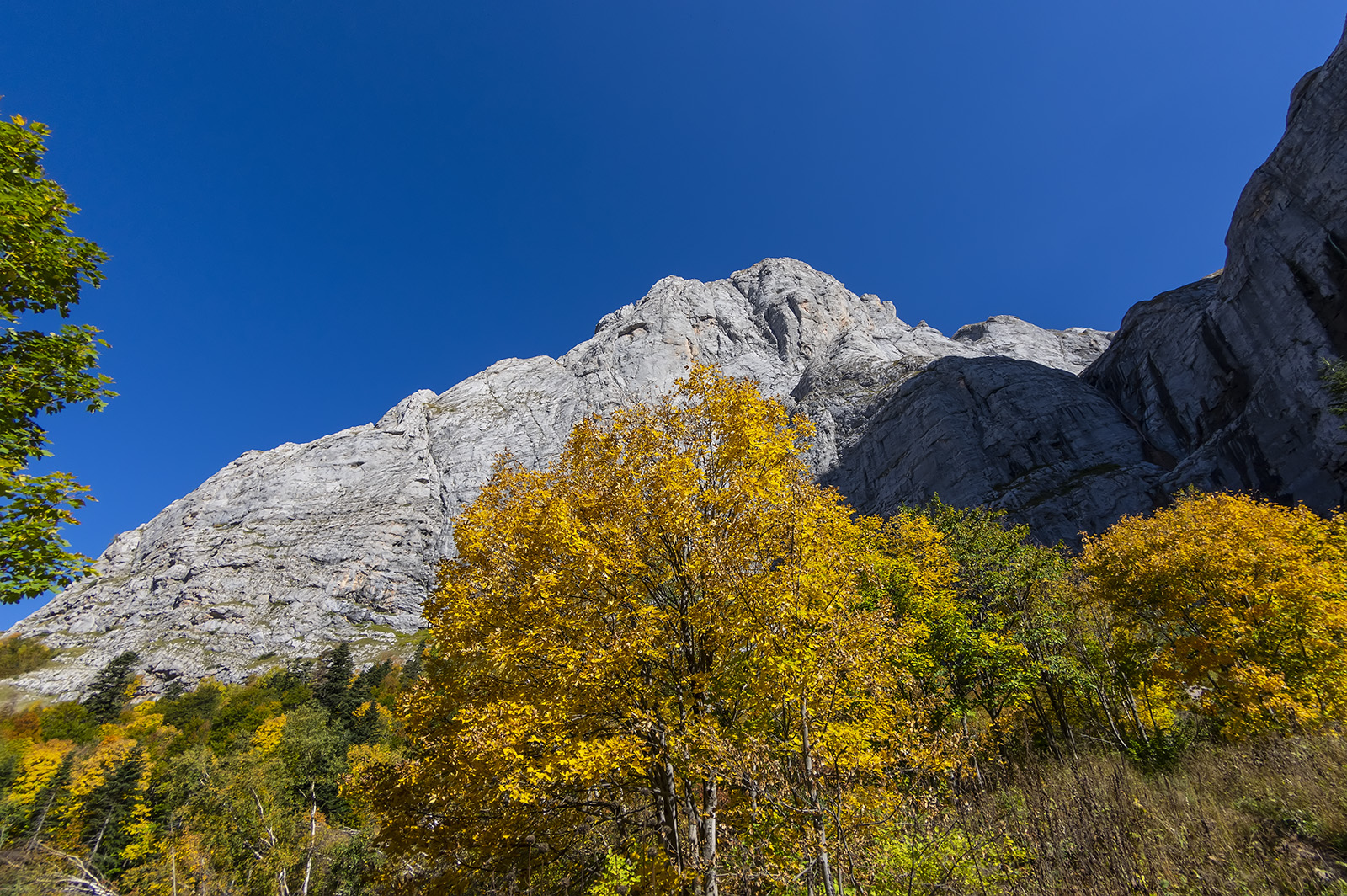 , Александр Земляной