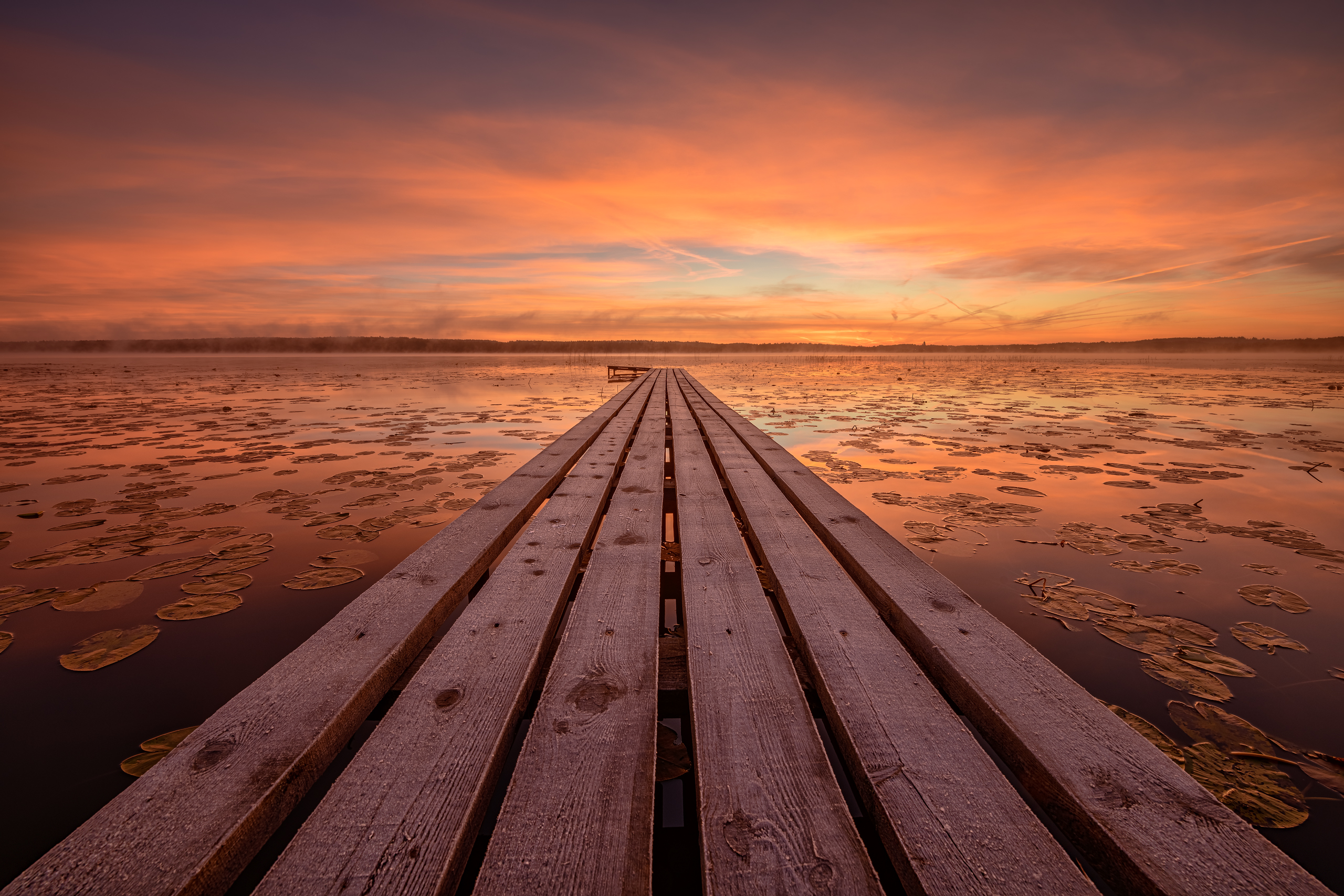 Ладога , Евдокимов Максим