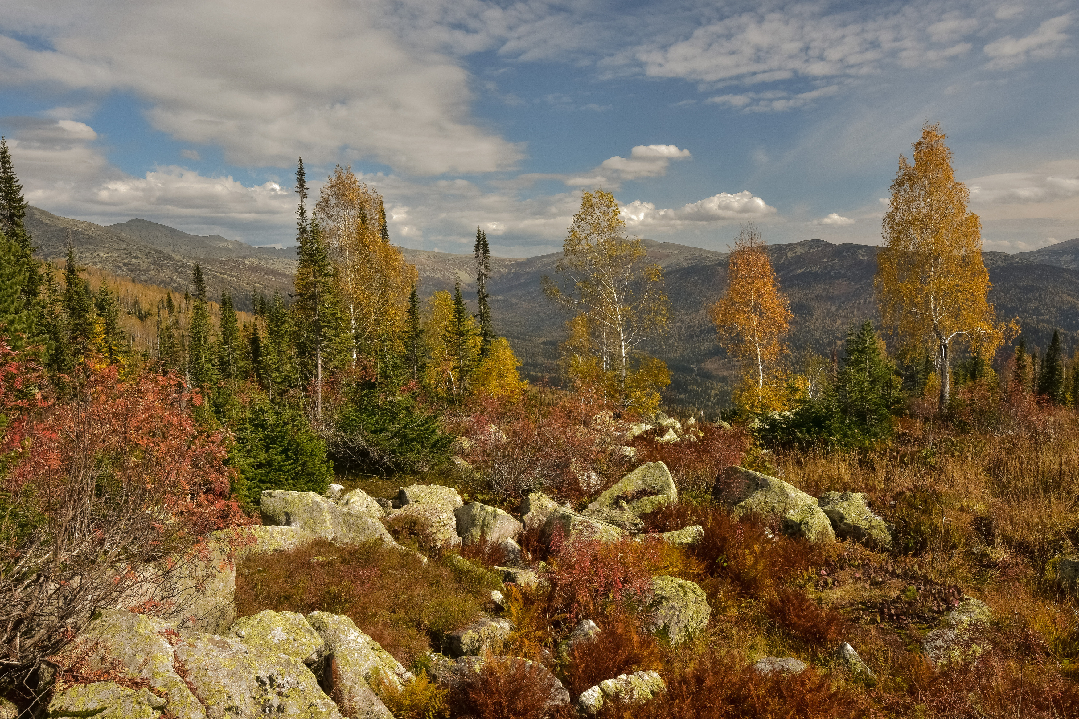россия, хакасия, осень, сентябрь, краски, дерево, камни, горы, Холзаков Вячеслав