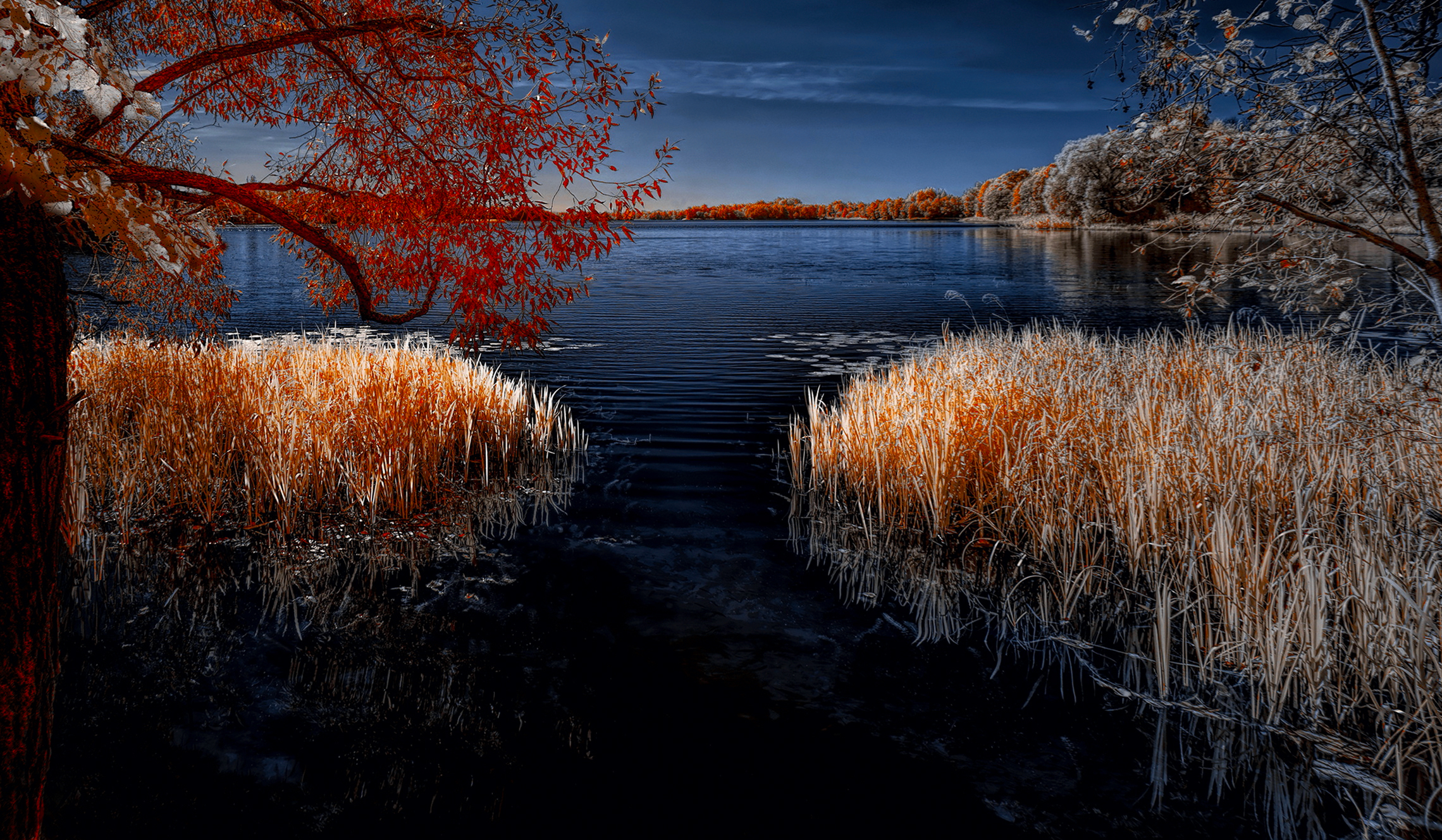 infrared, ик-фото, инфракрасное фото, инфракрасная фотография, пейзаж, лето,  Sixten (Сергей)