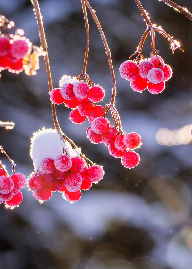 , Андрей Хаймин