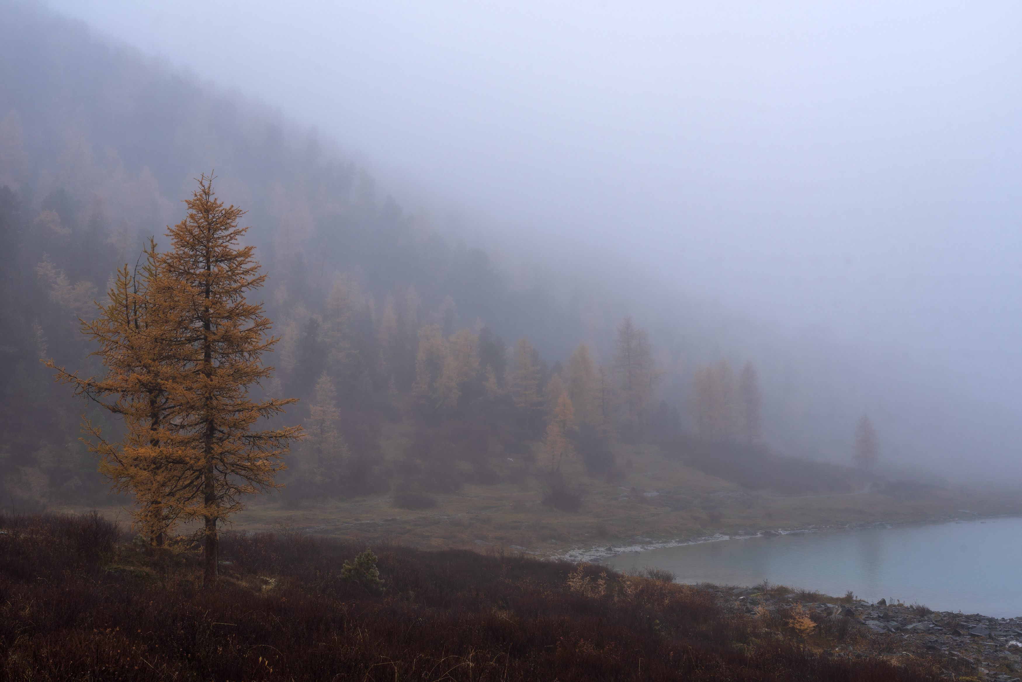 , Oleg Matronitskiy  olegmatr@mail.ru