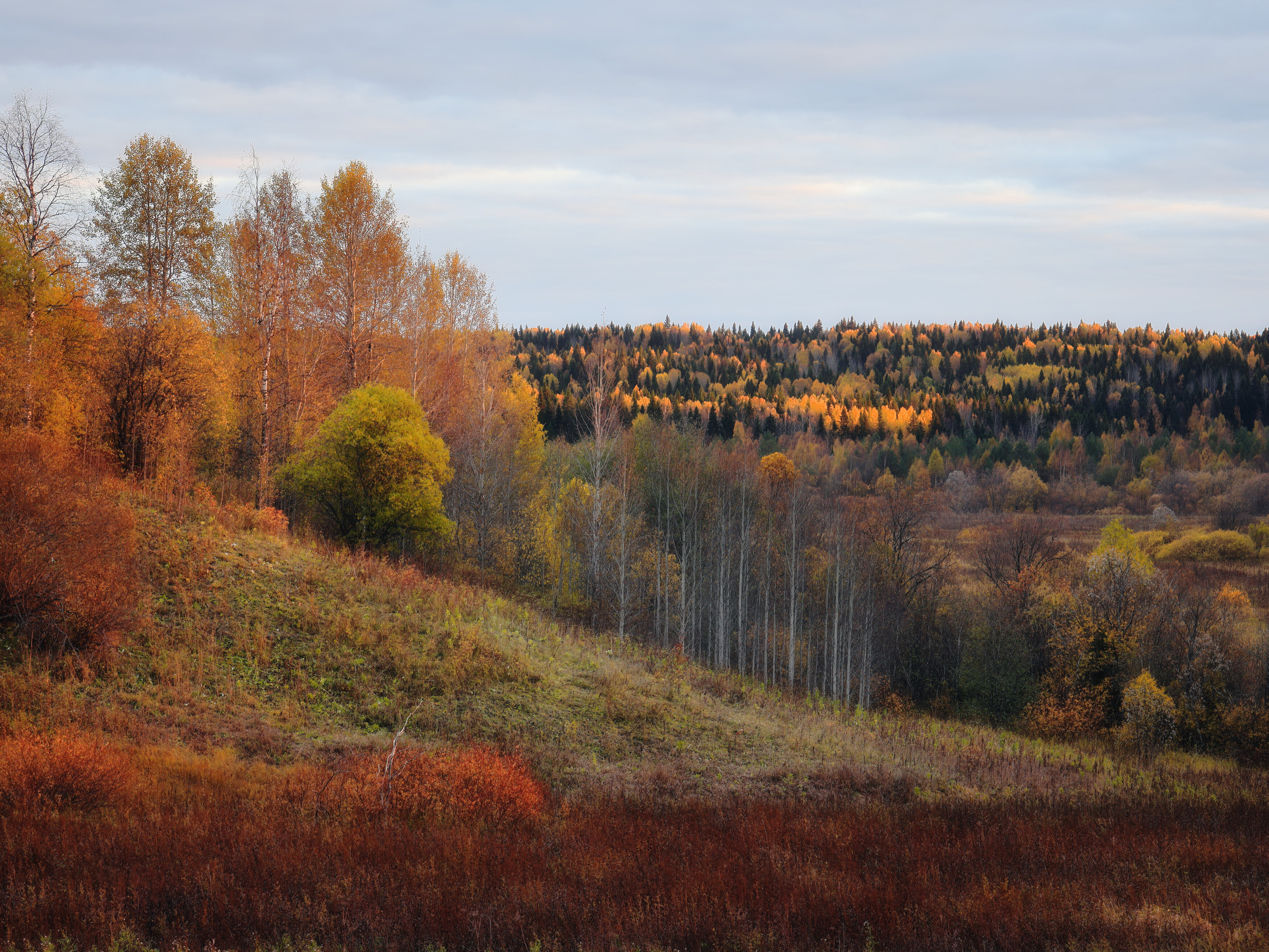 , Александр Титов