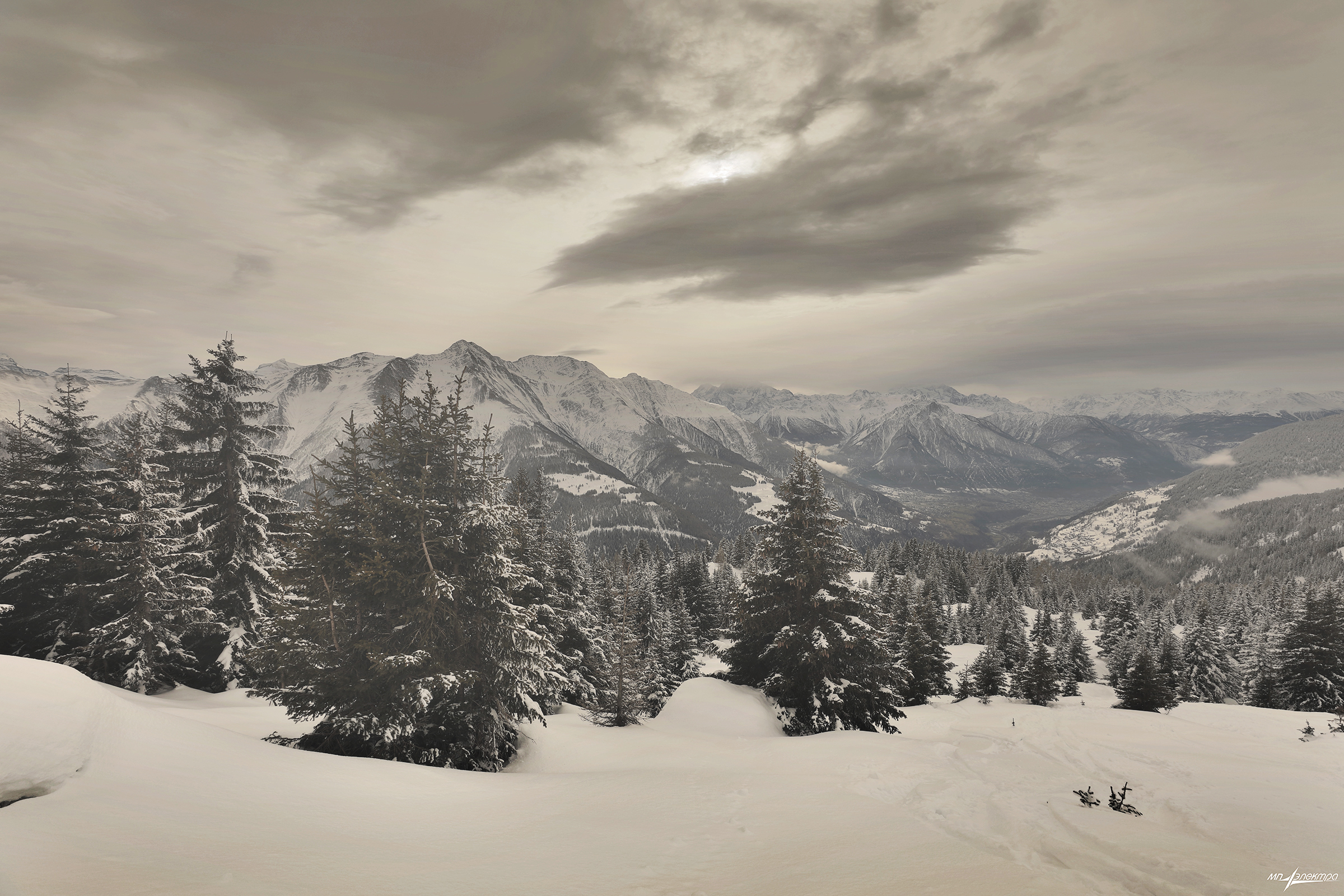 swiss, Матвеев Николай