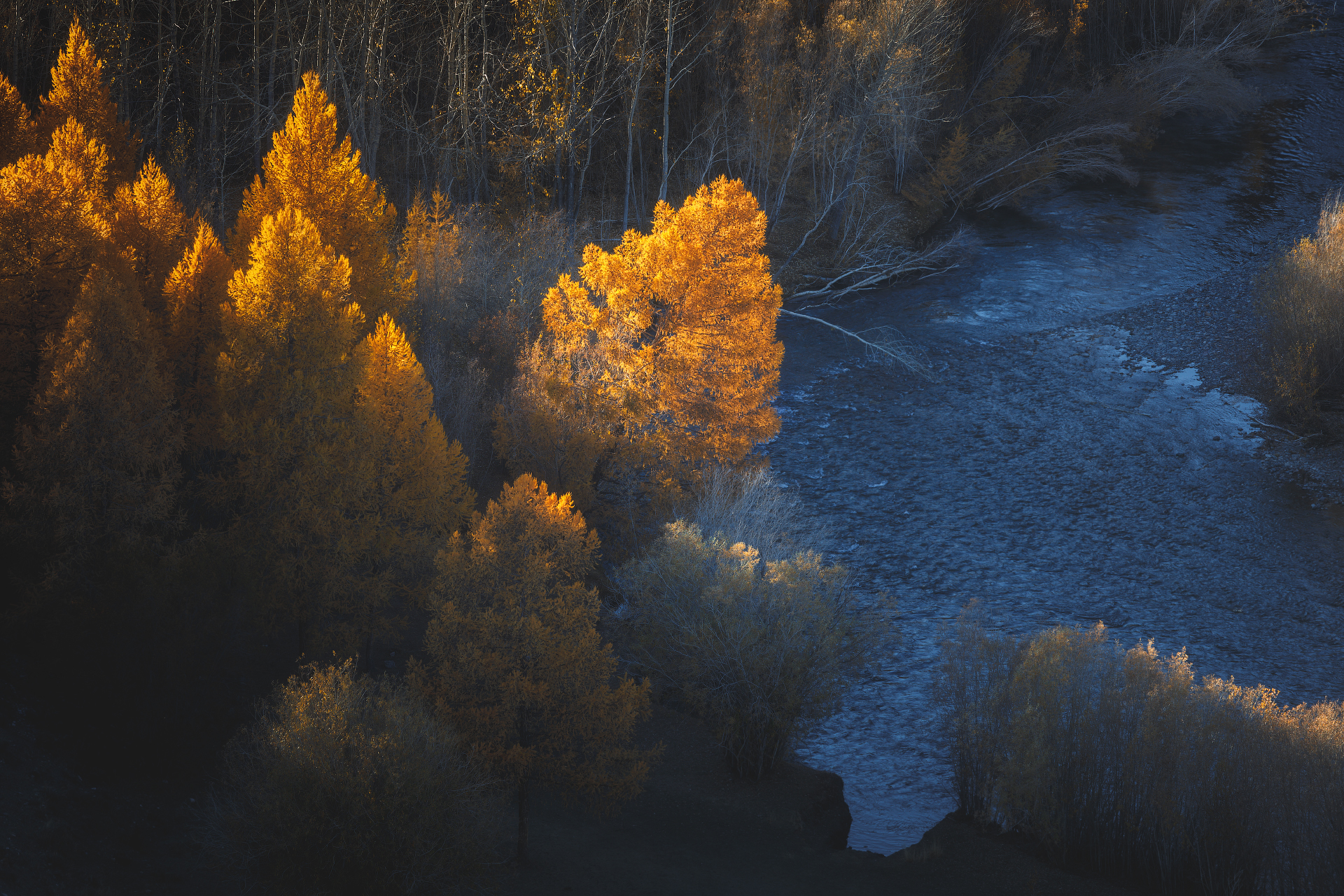 алтай, осень, республика алтай, Александр Писарев