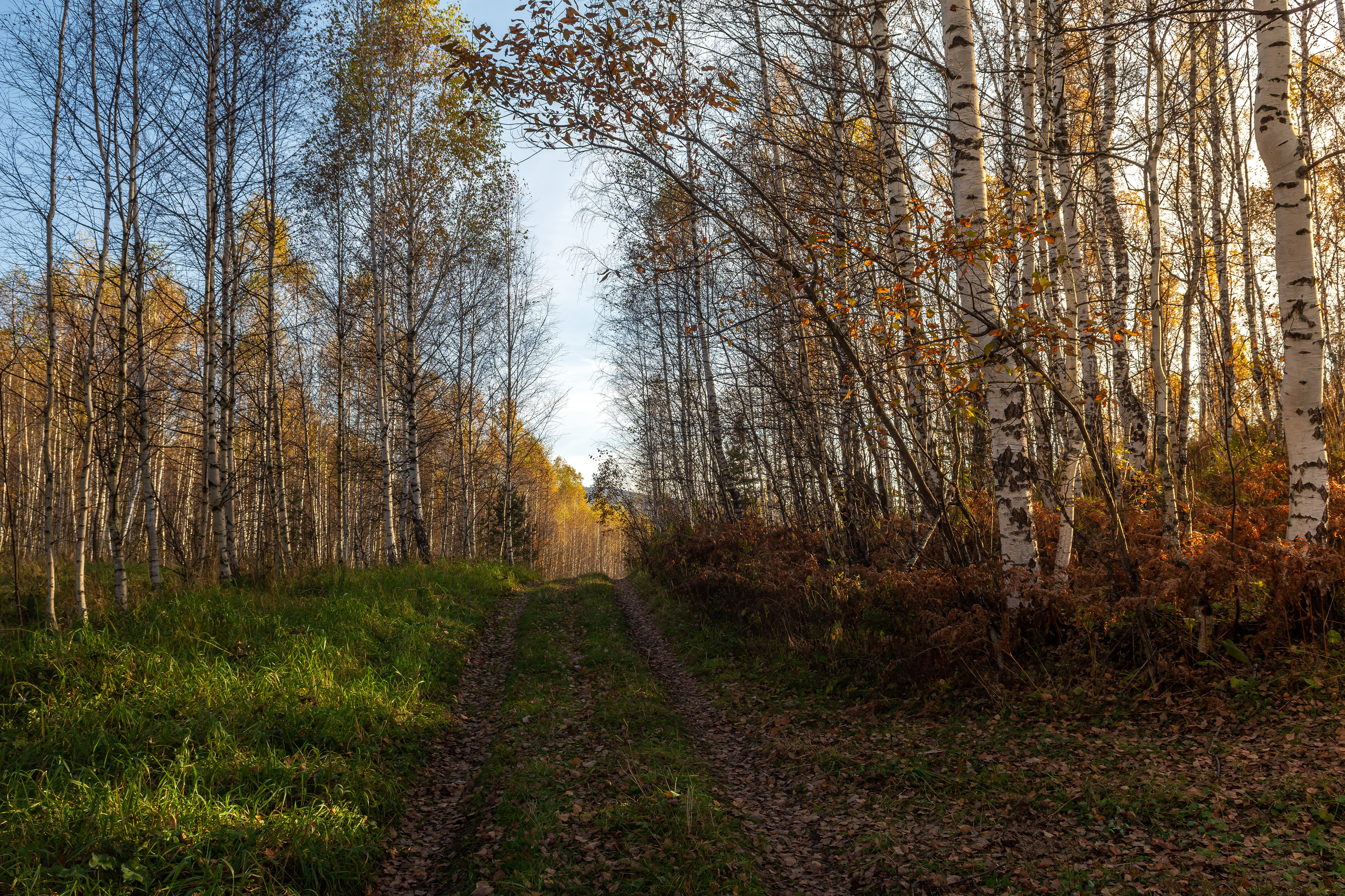 , Андрей Шарапов