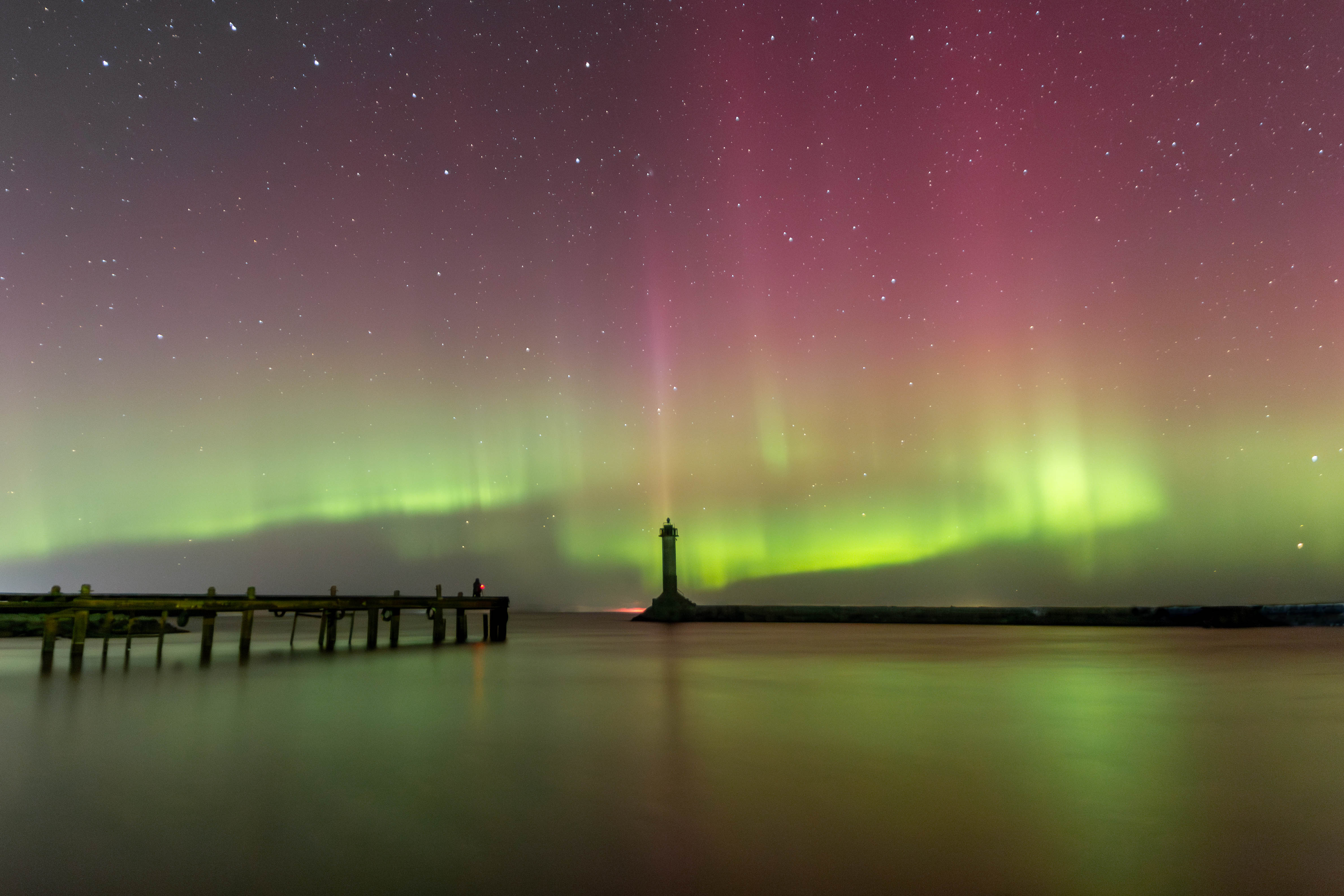 , Комарова Вера