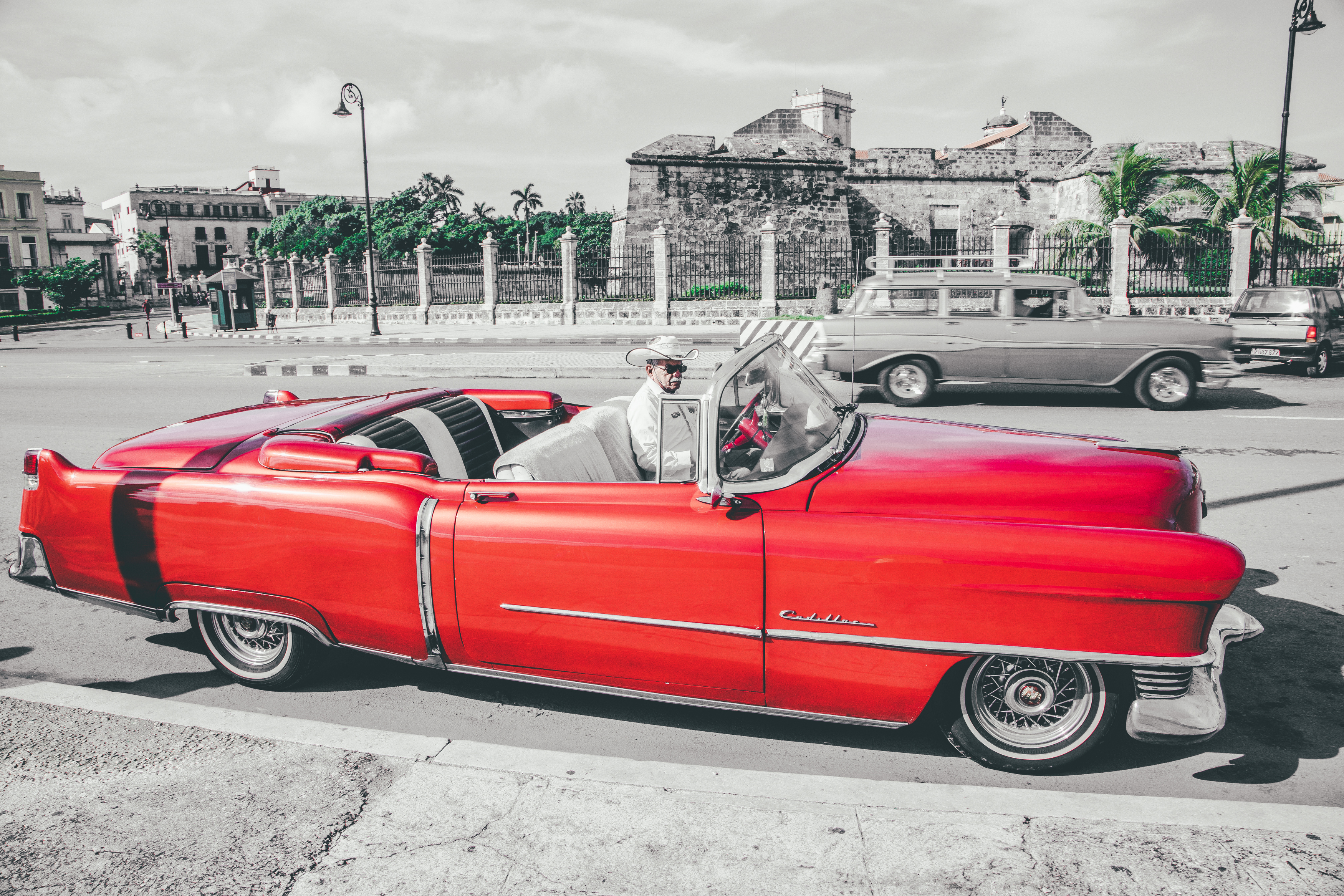 , Трепольский Дмитрий