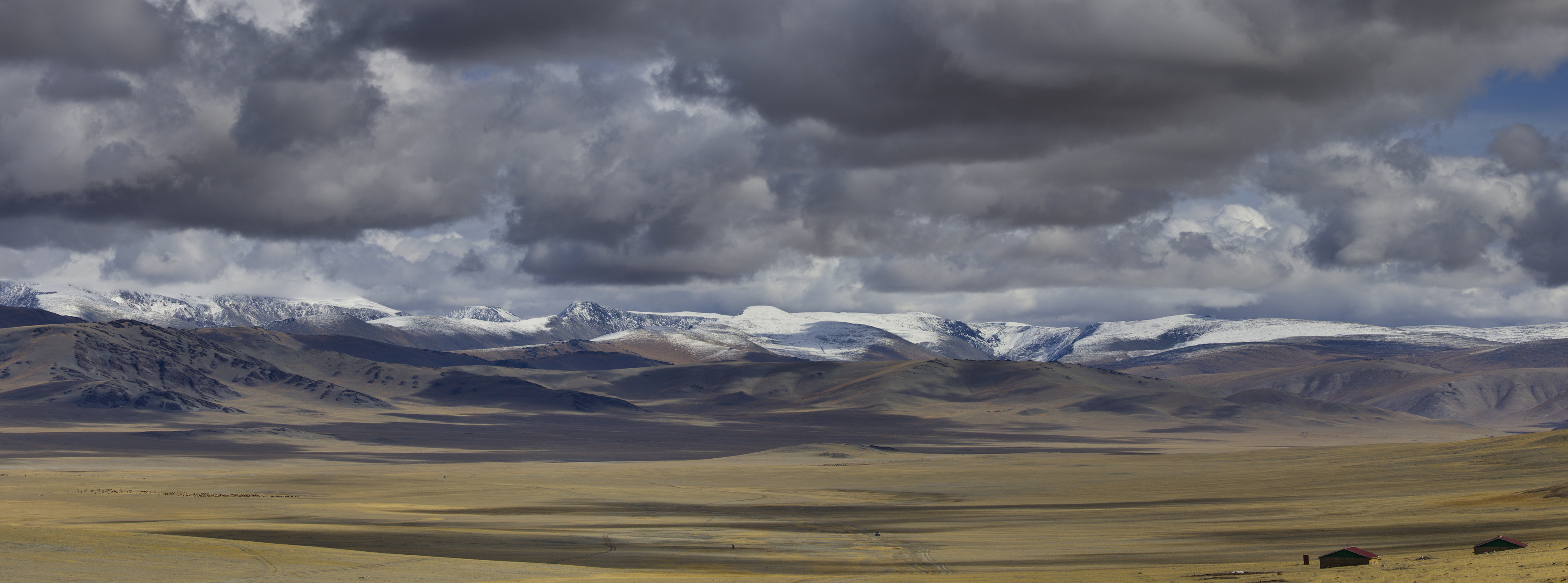 , Игорь Щербаков