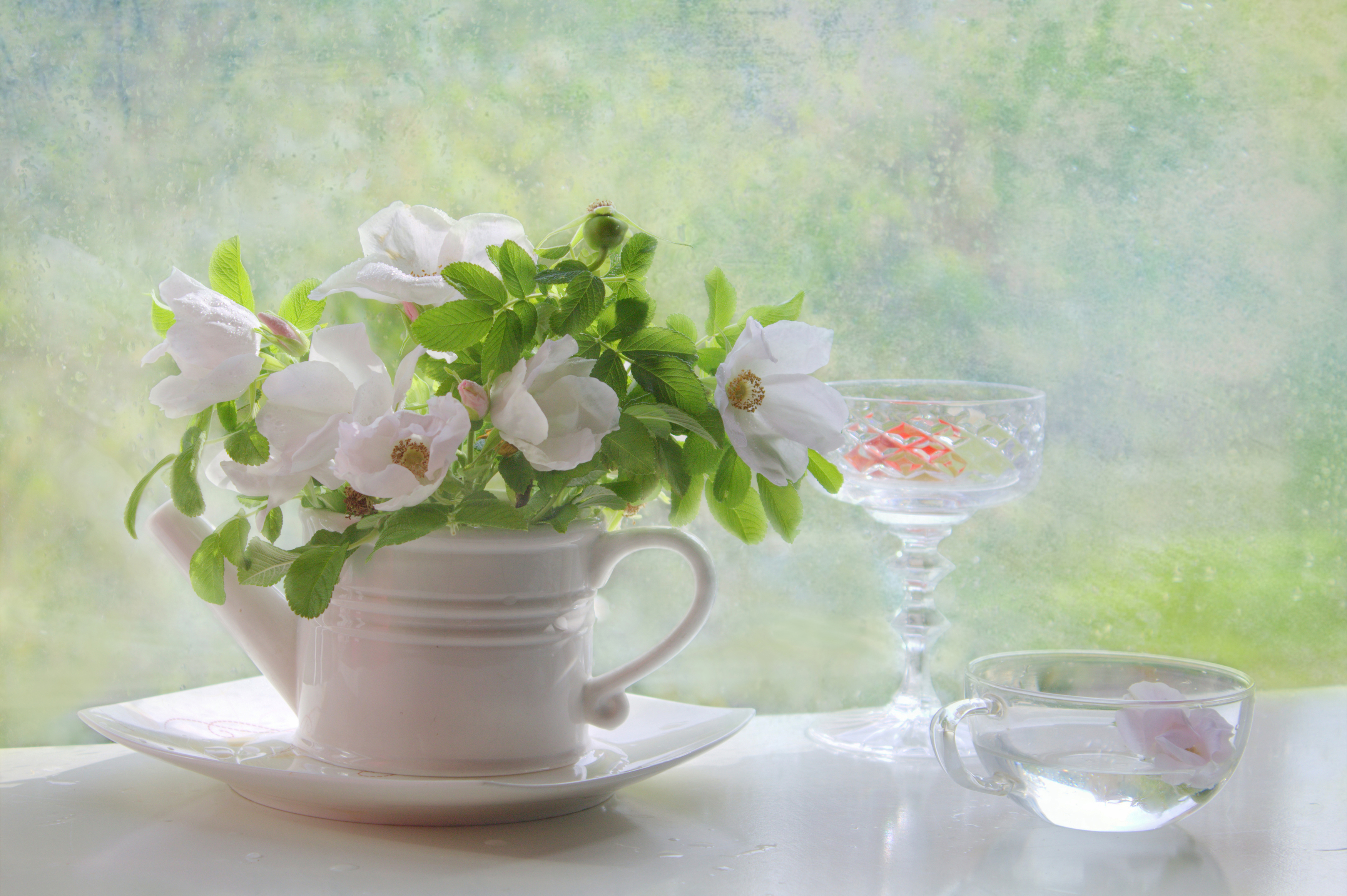 , Хохлова (Ермохина) Наталья