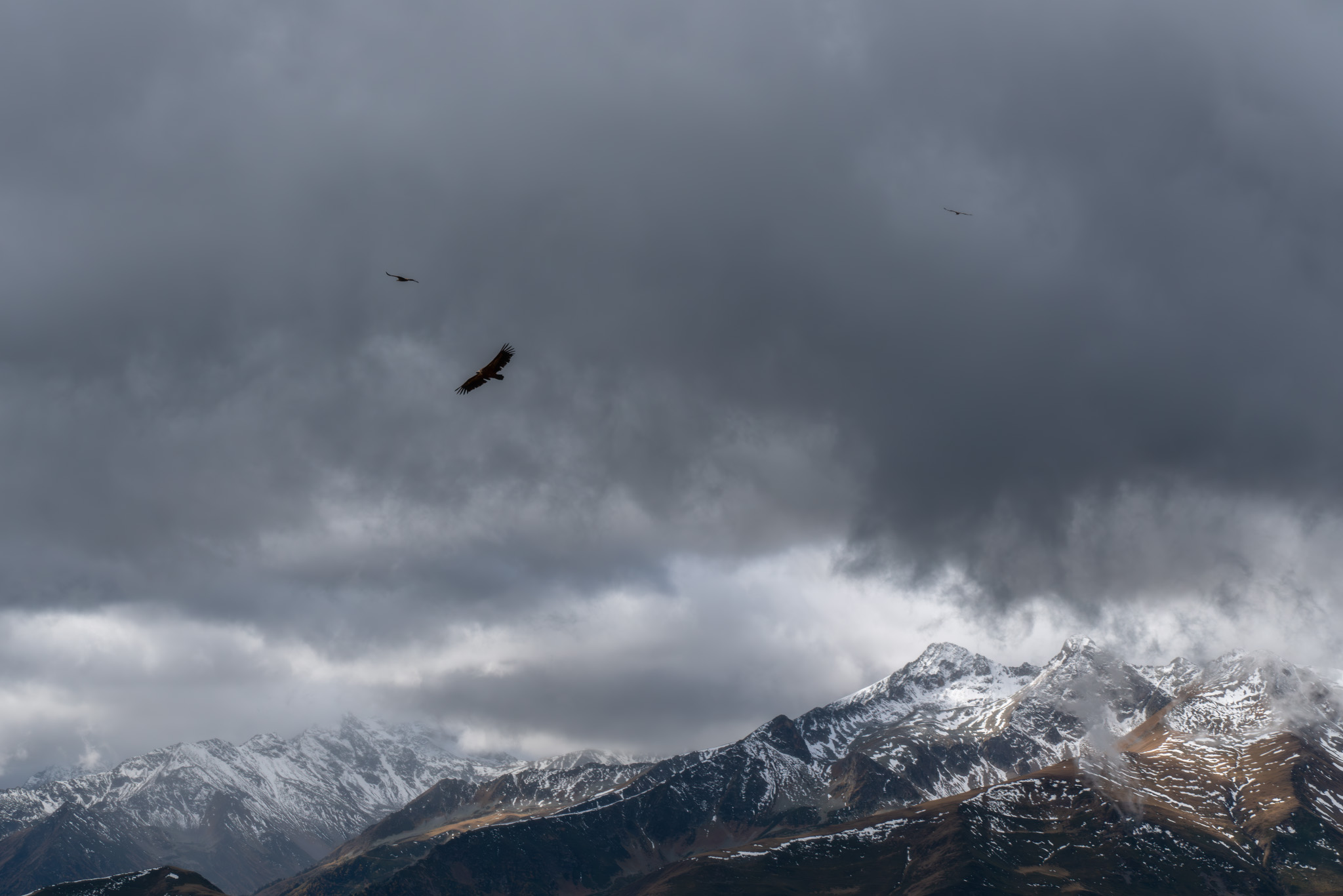 , Юлия Мальцева