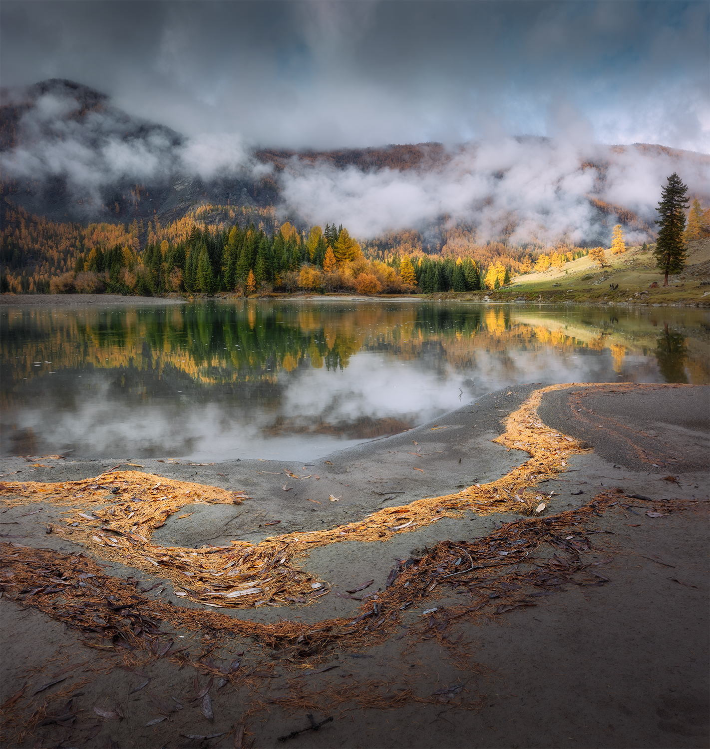 осень, алтай, река, хвоя, туман, горы, тучи, Сергей Буторин