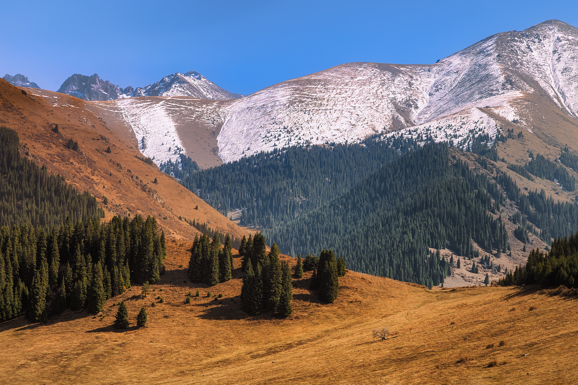 кыргызстан, чон-кемин, Элина Магалимова