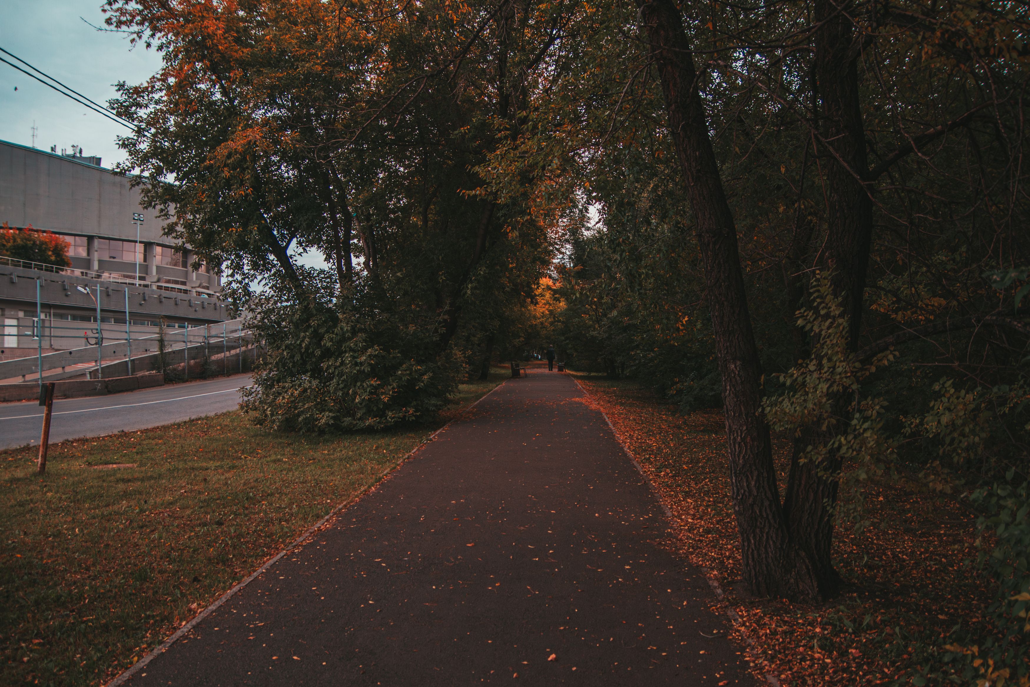 , Nazar tg Forest welks