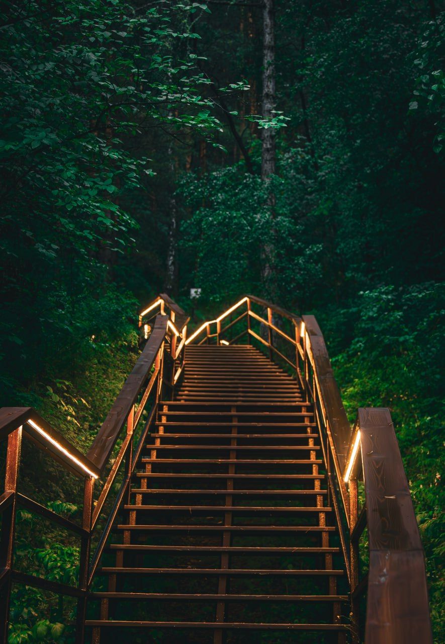 , Nazar tg Forest welks