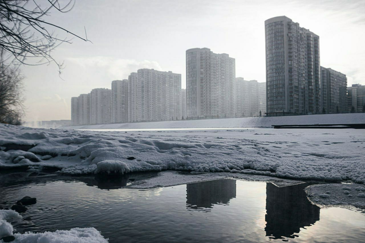 , Nazar tg Forest welks