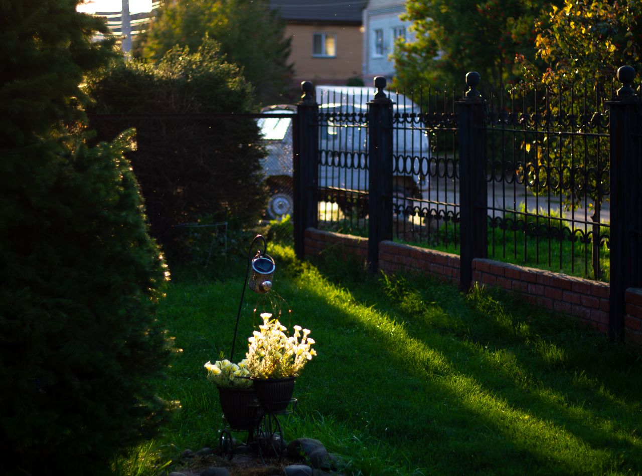 , Nazar tg Forest welks