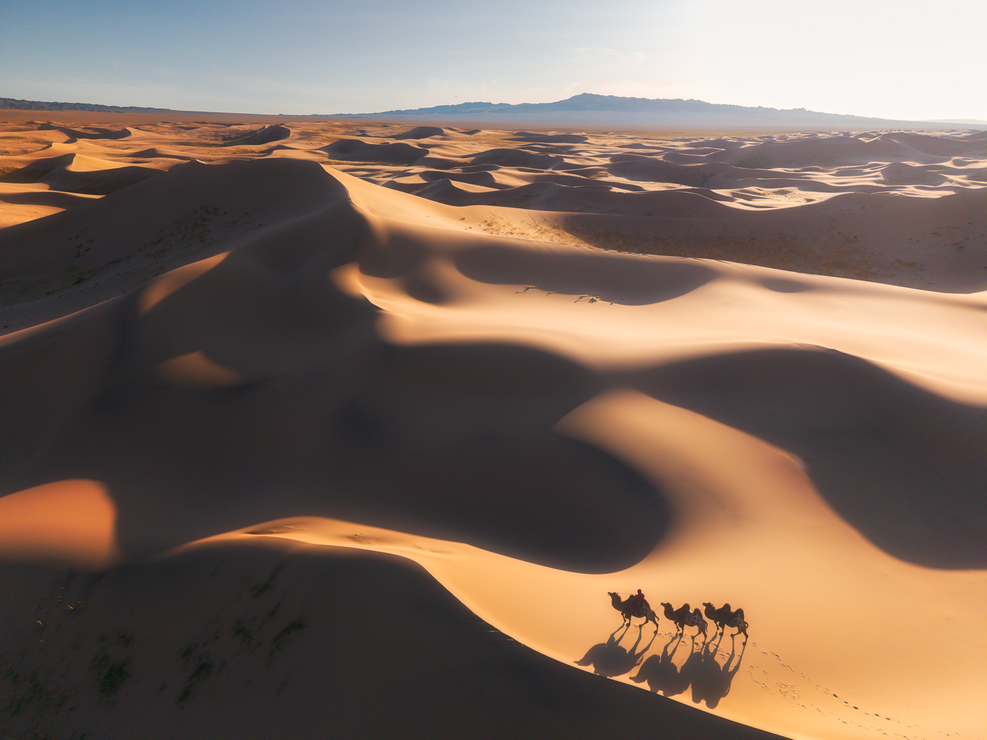 , Антон Агарков