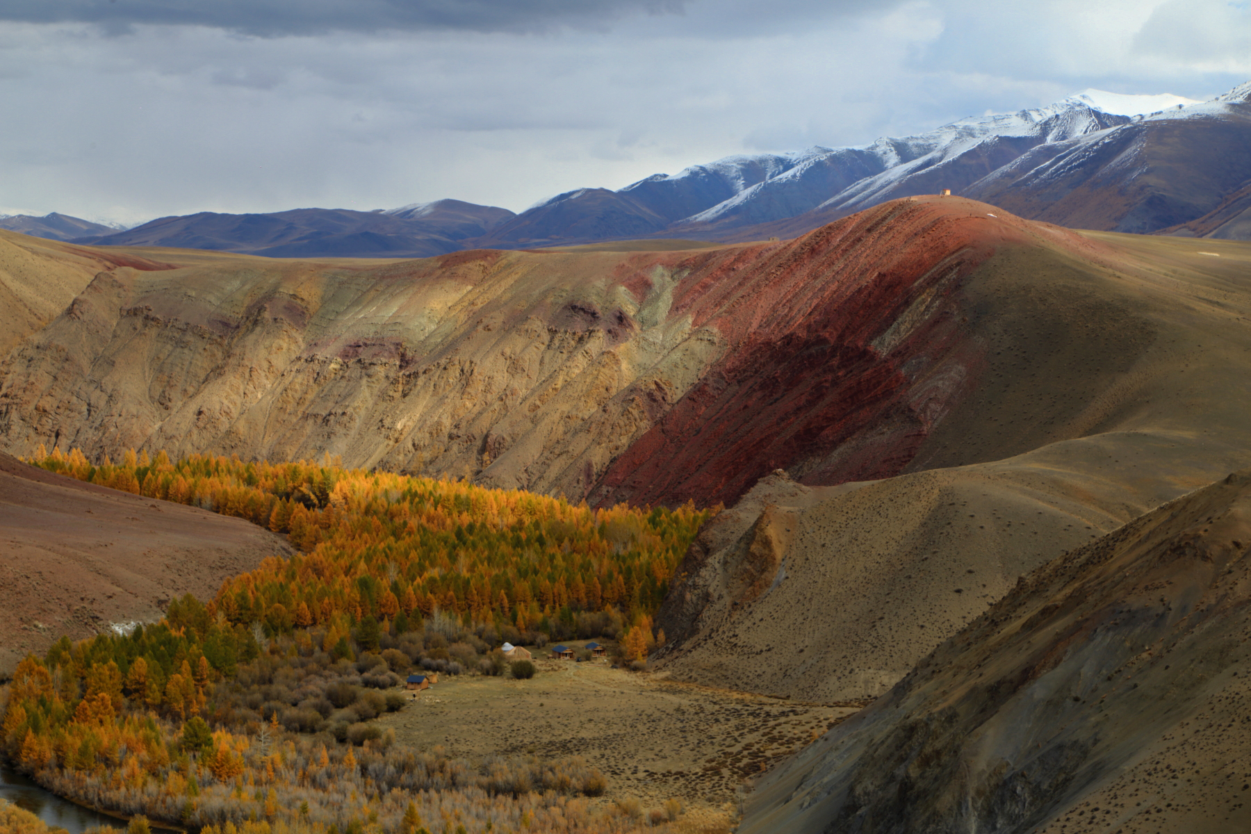 , Евгений Зинов