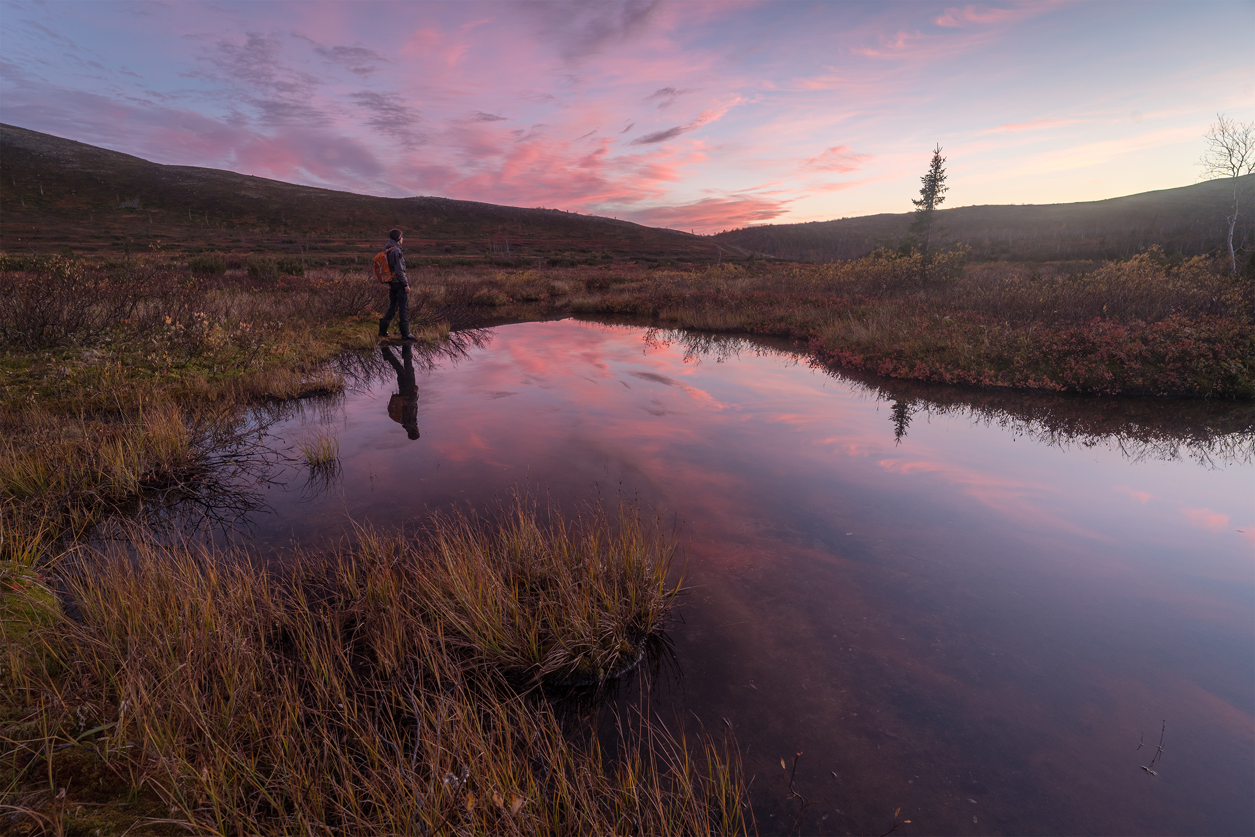 , Ян Сурогин