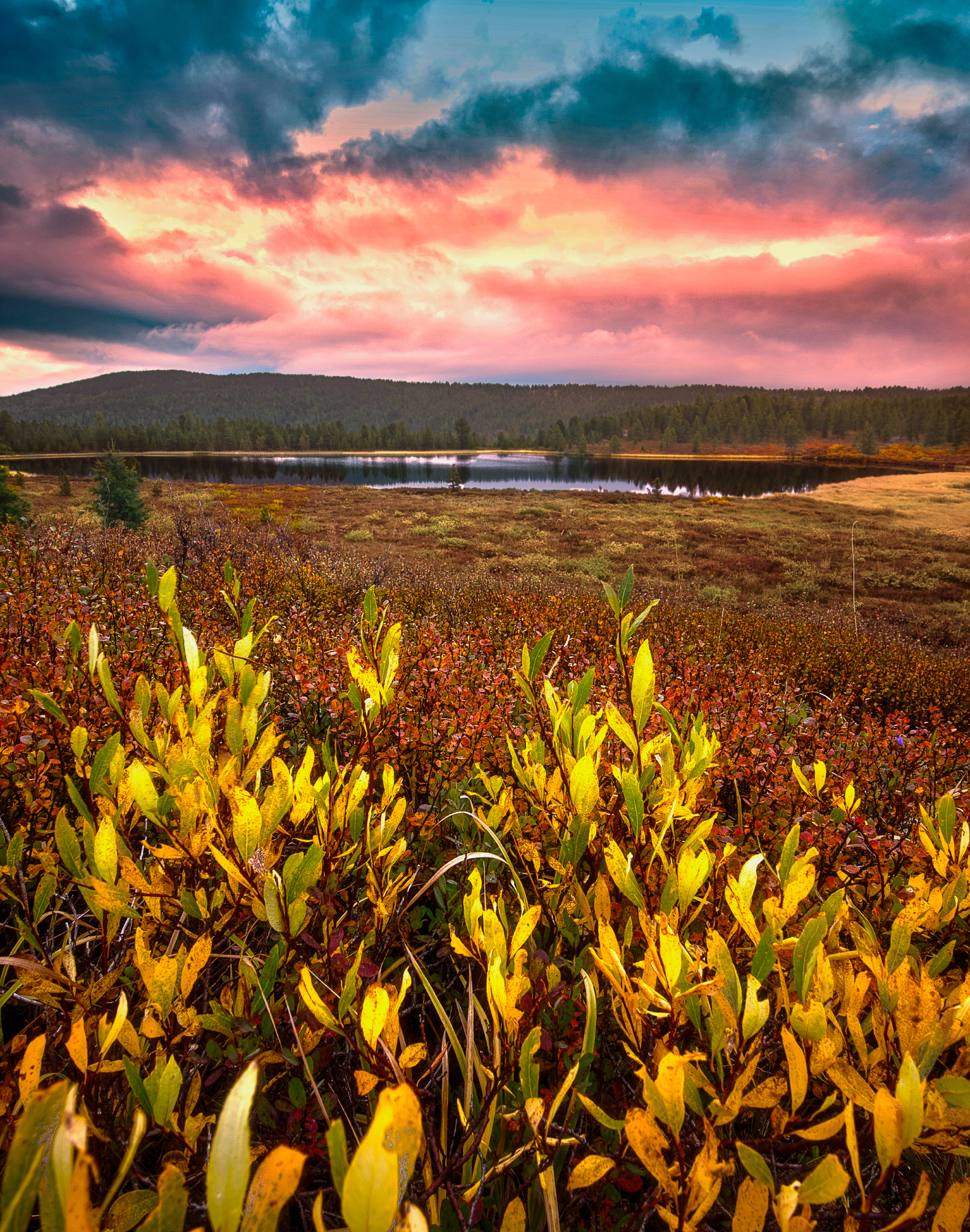 алтай, горы, осень, природа, Andrey