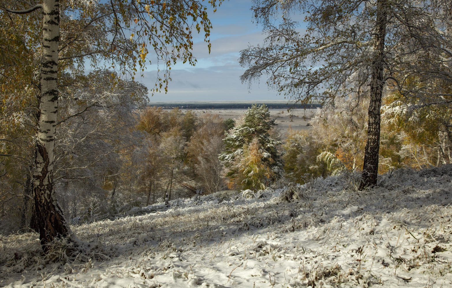 , Алексей Хахлов