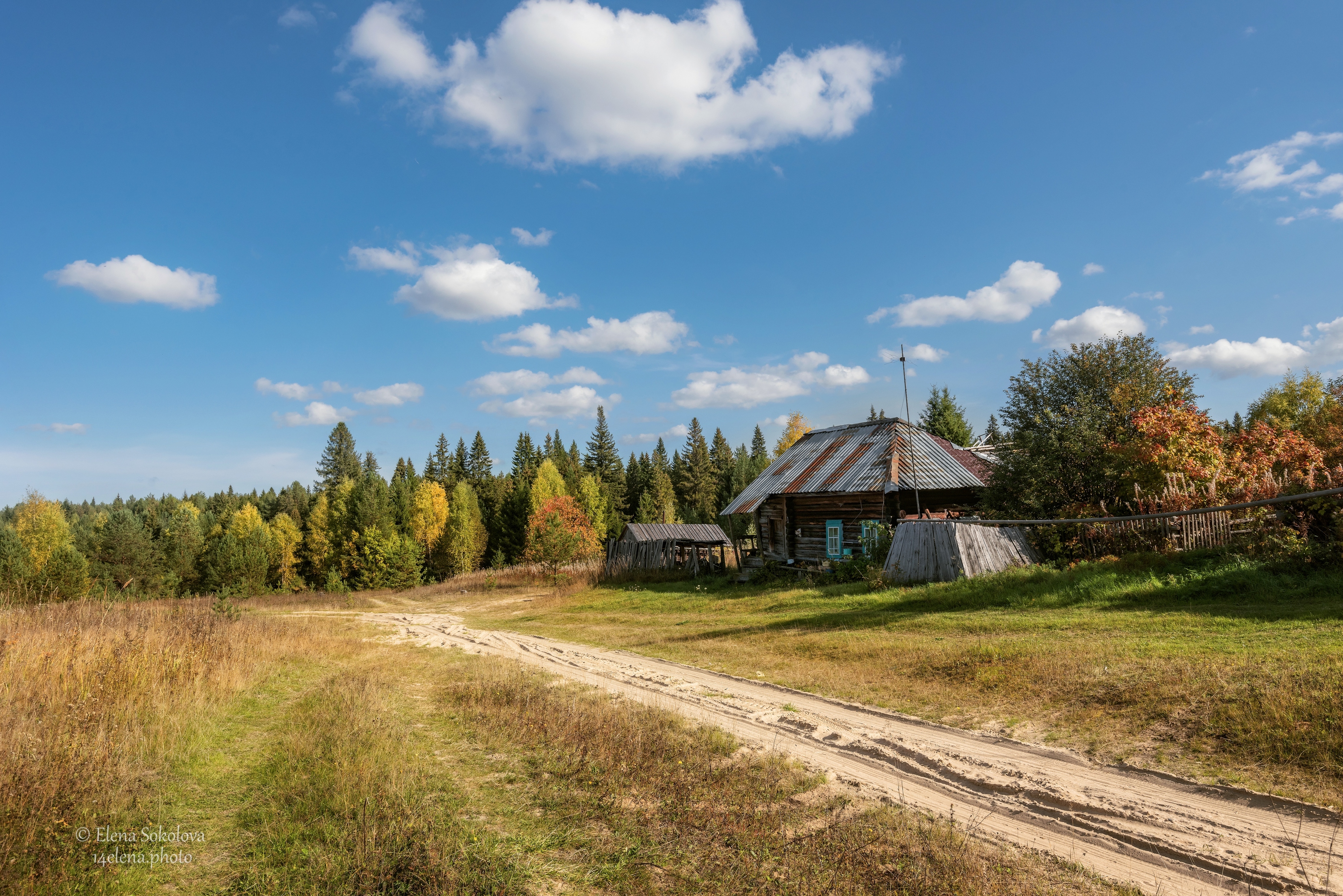 деревня, осень, Елена Соколова