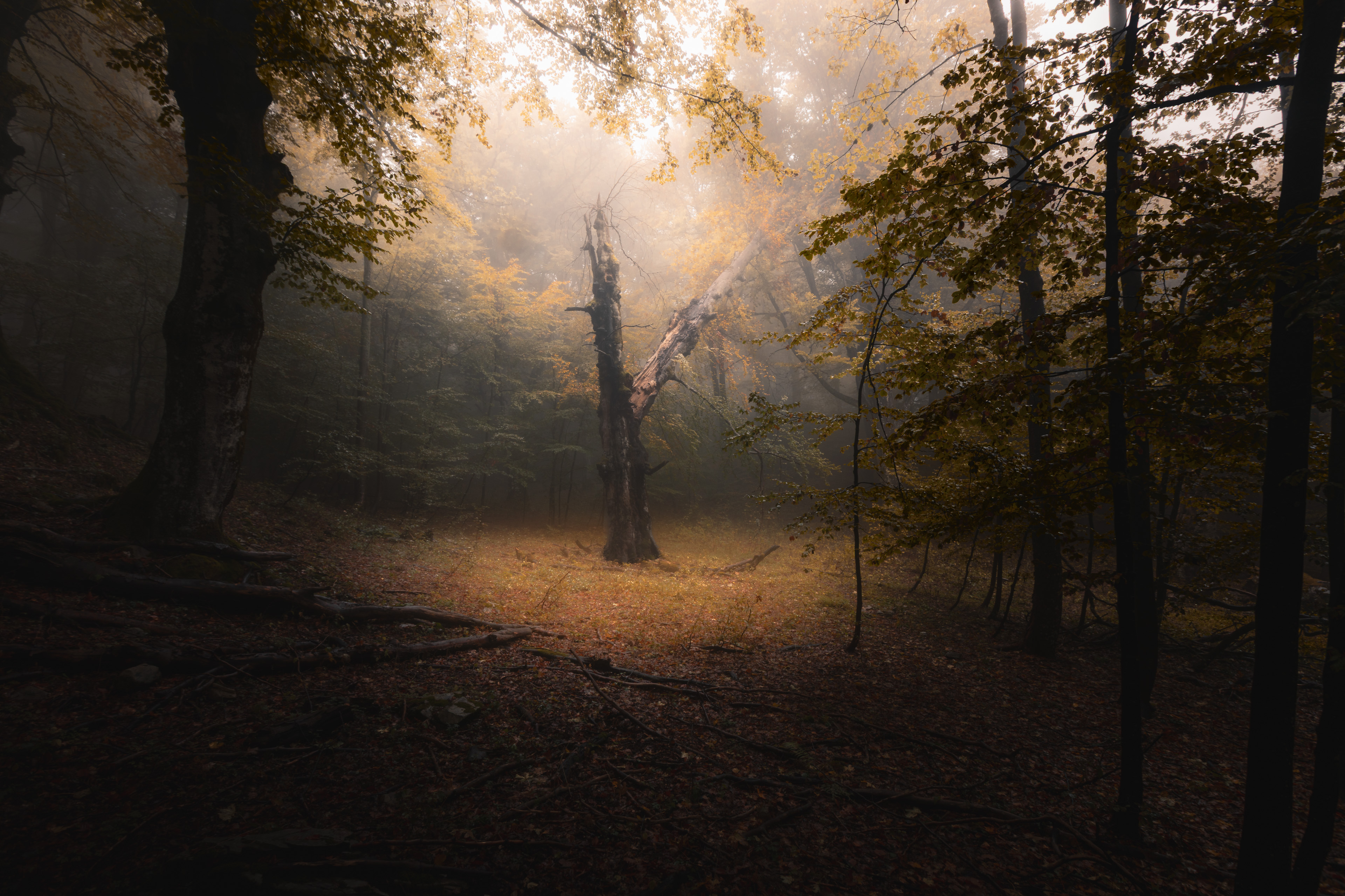 , Пенов Пламен