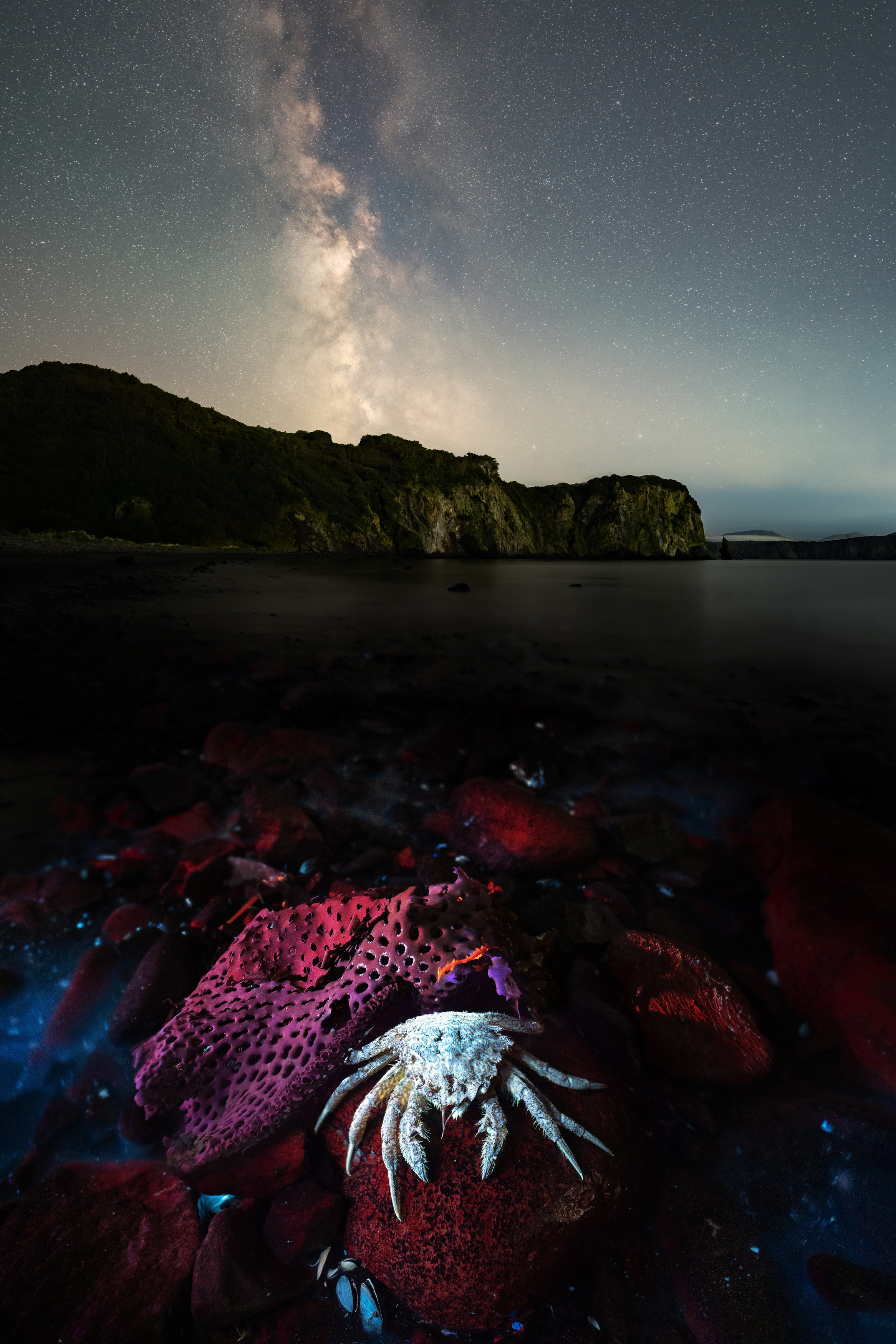 , Дарина Соболь