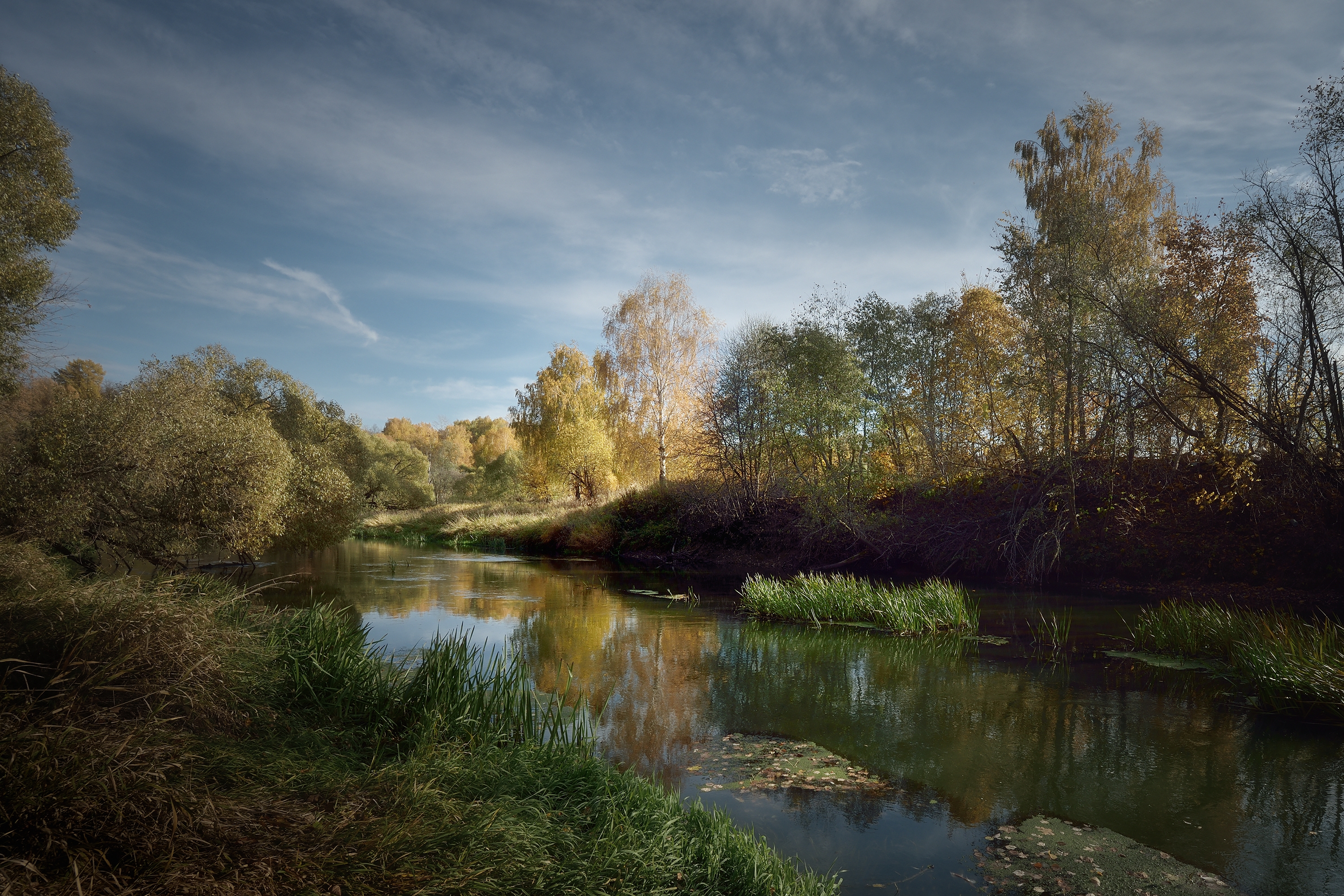 , Алексей Никонов