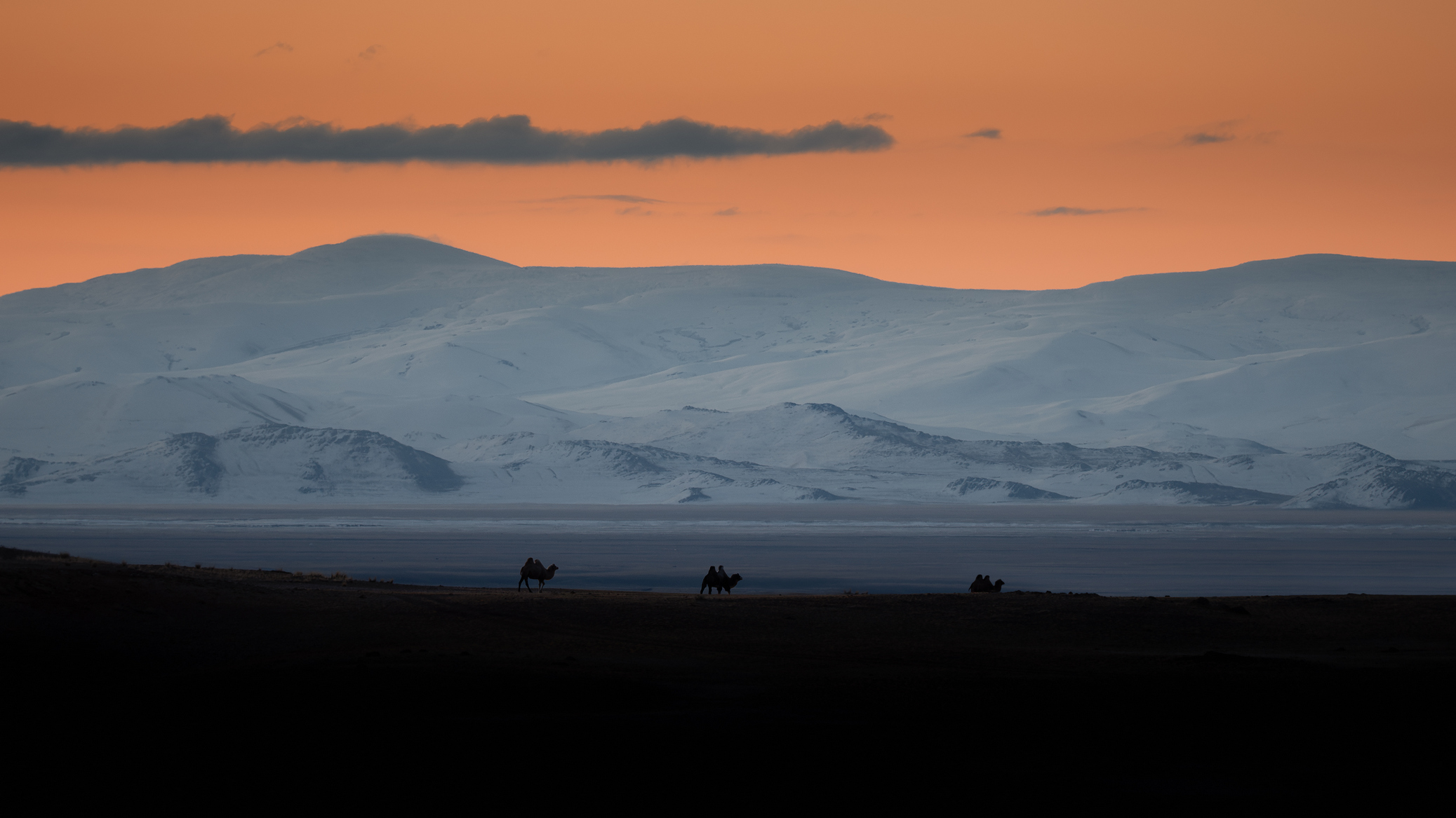 , Мозжухин Максим