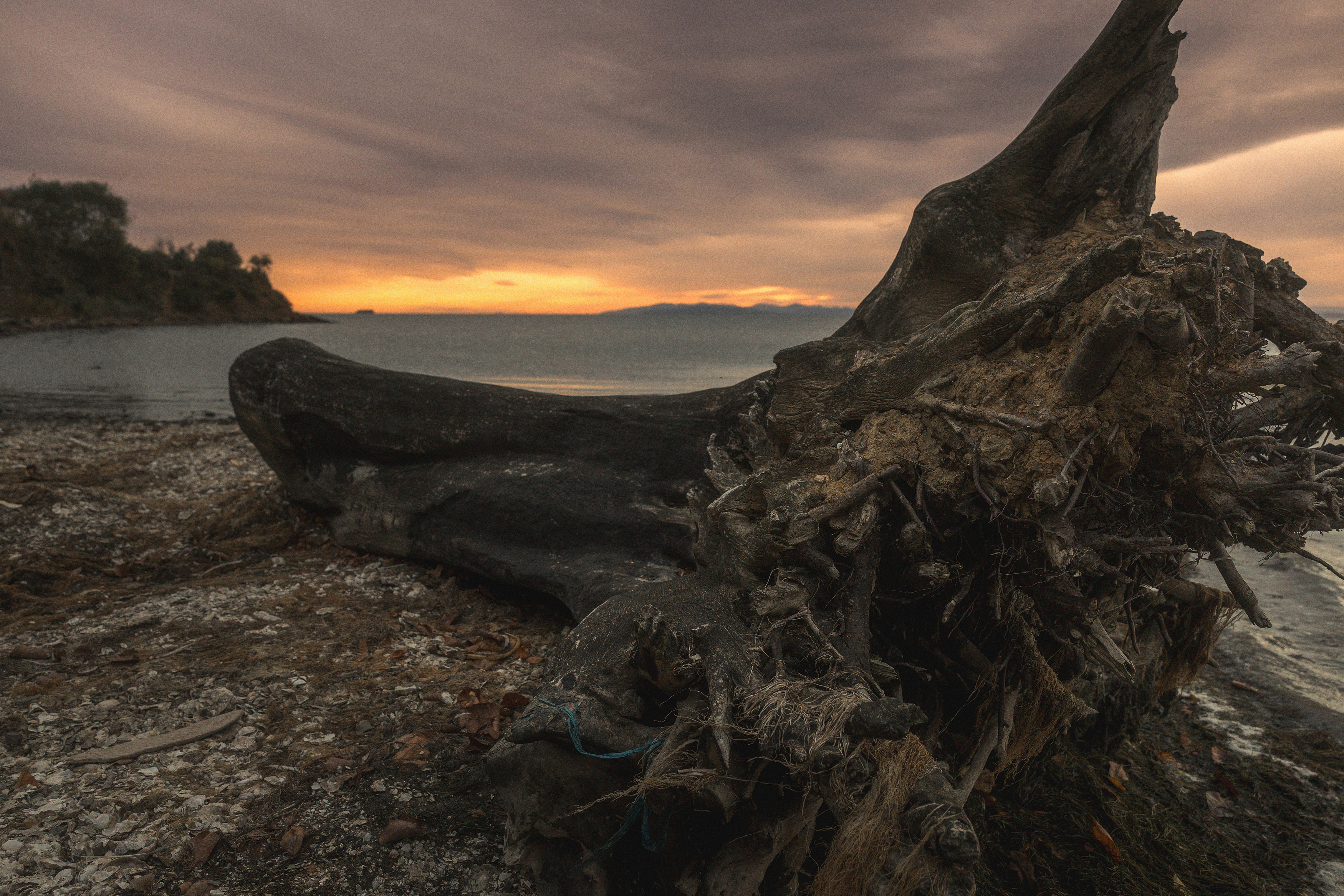 , Сергей Лучин