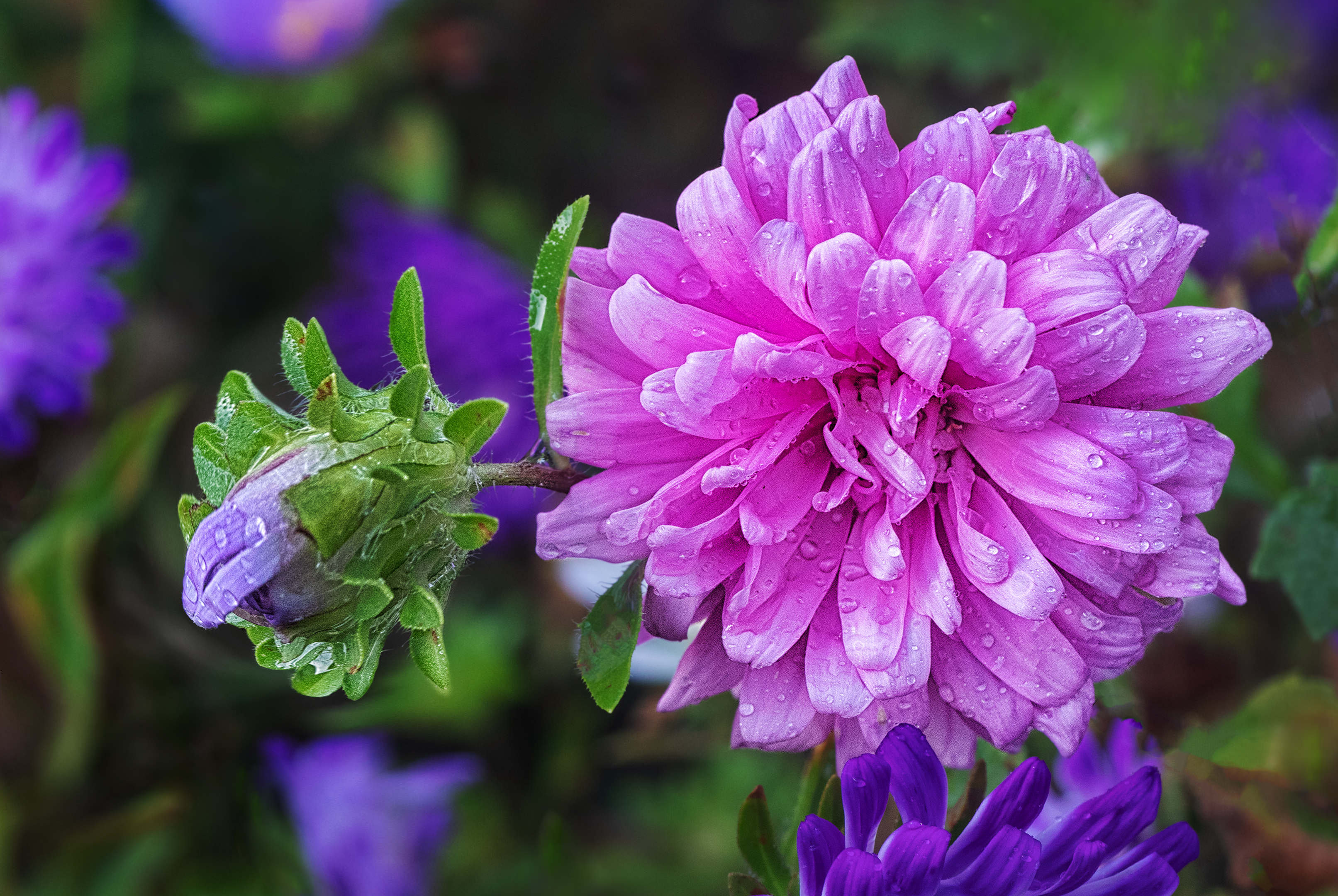 , Ушаков Валерий