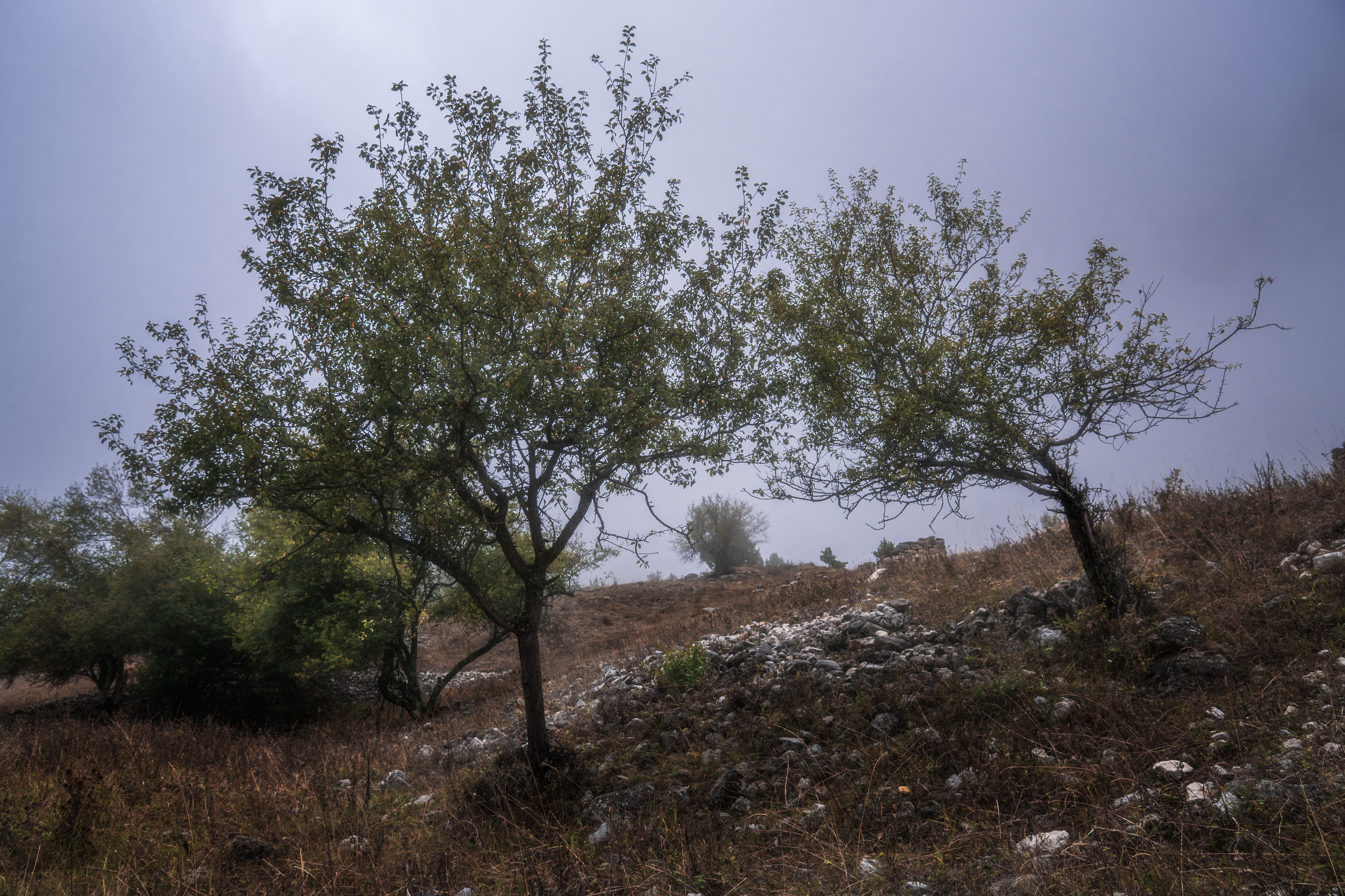 landscape, caucasus, mountines, ингушетия, пейзаж, горы, кавказ, Толстоноженко Илья