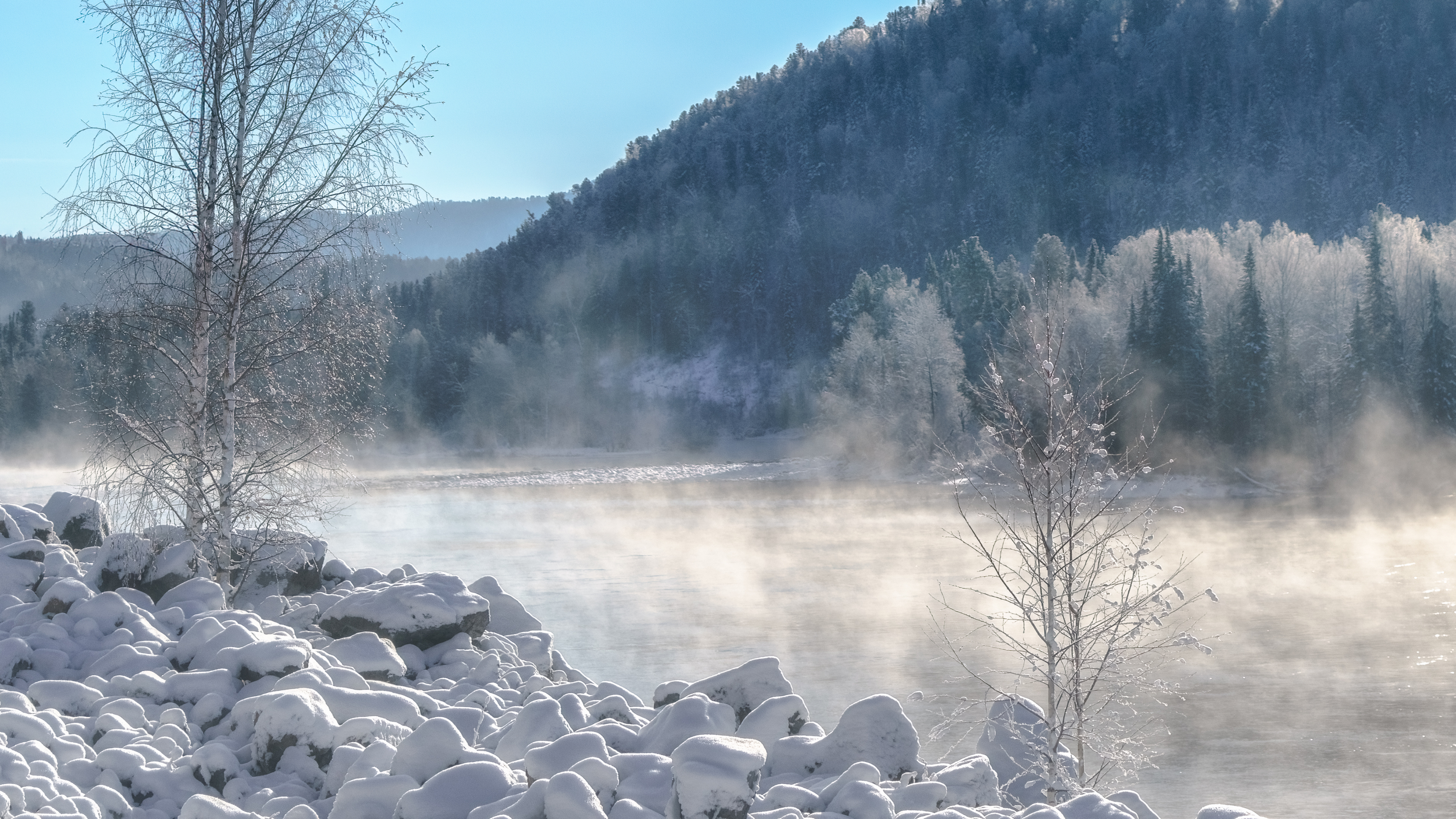 , Шварцман Евгений