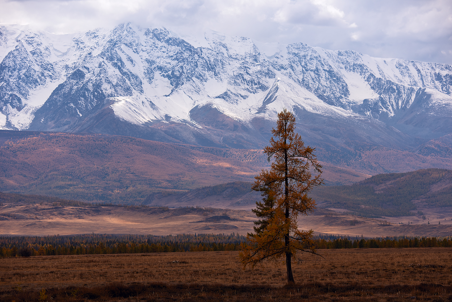алтай, курай, курайская степь, Petrova Anastasia