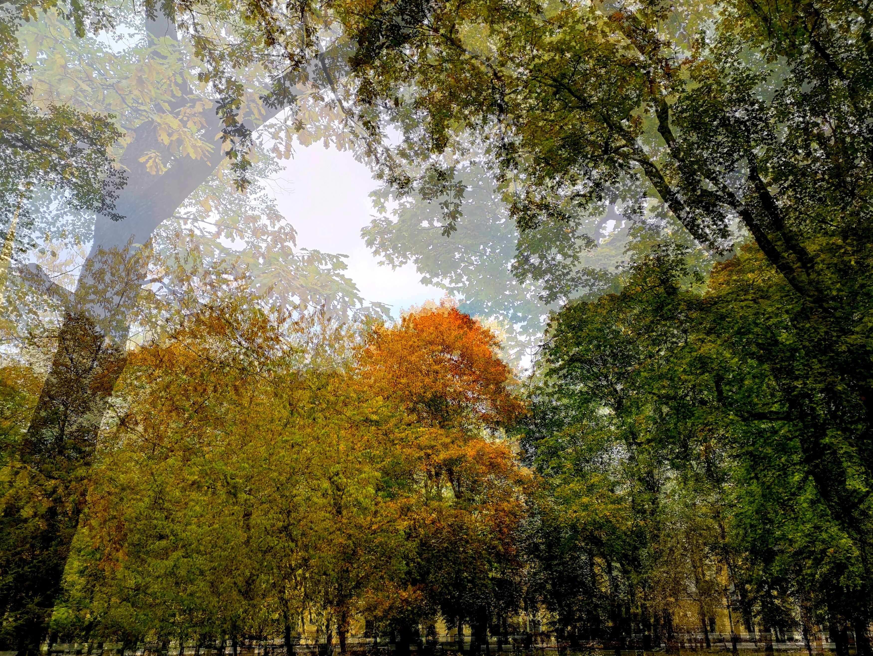 , Антон Лаба