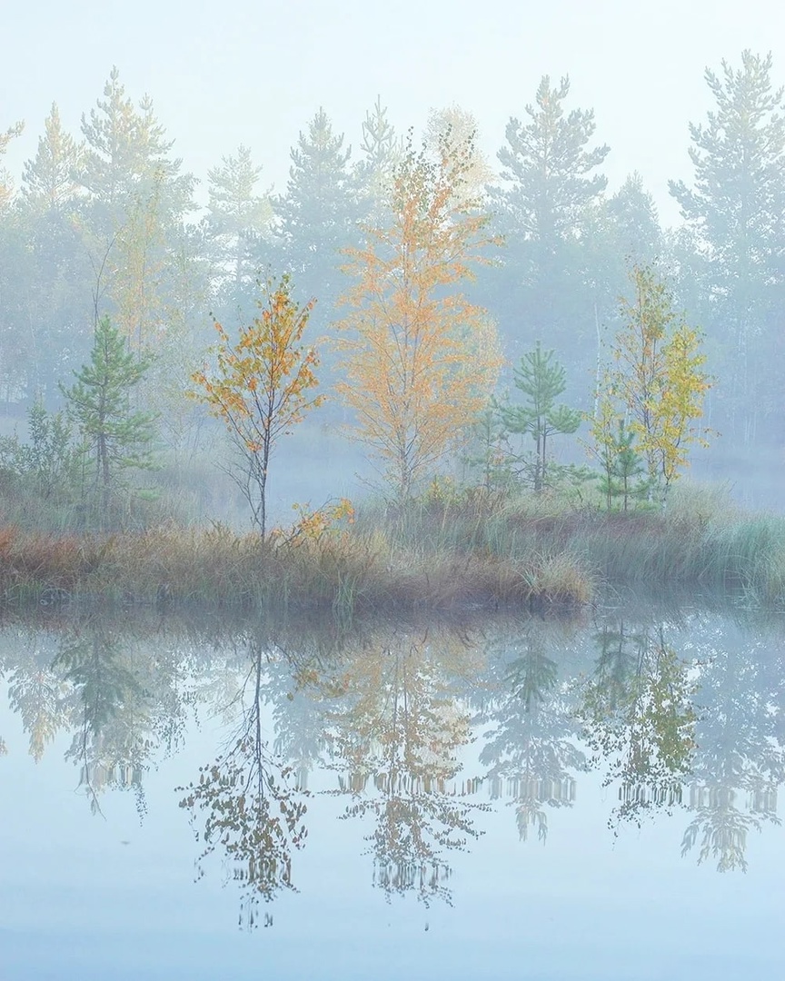 , Петр Косых